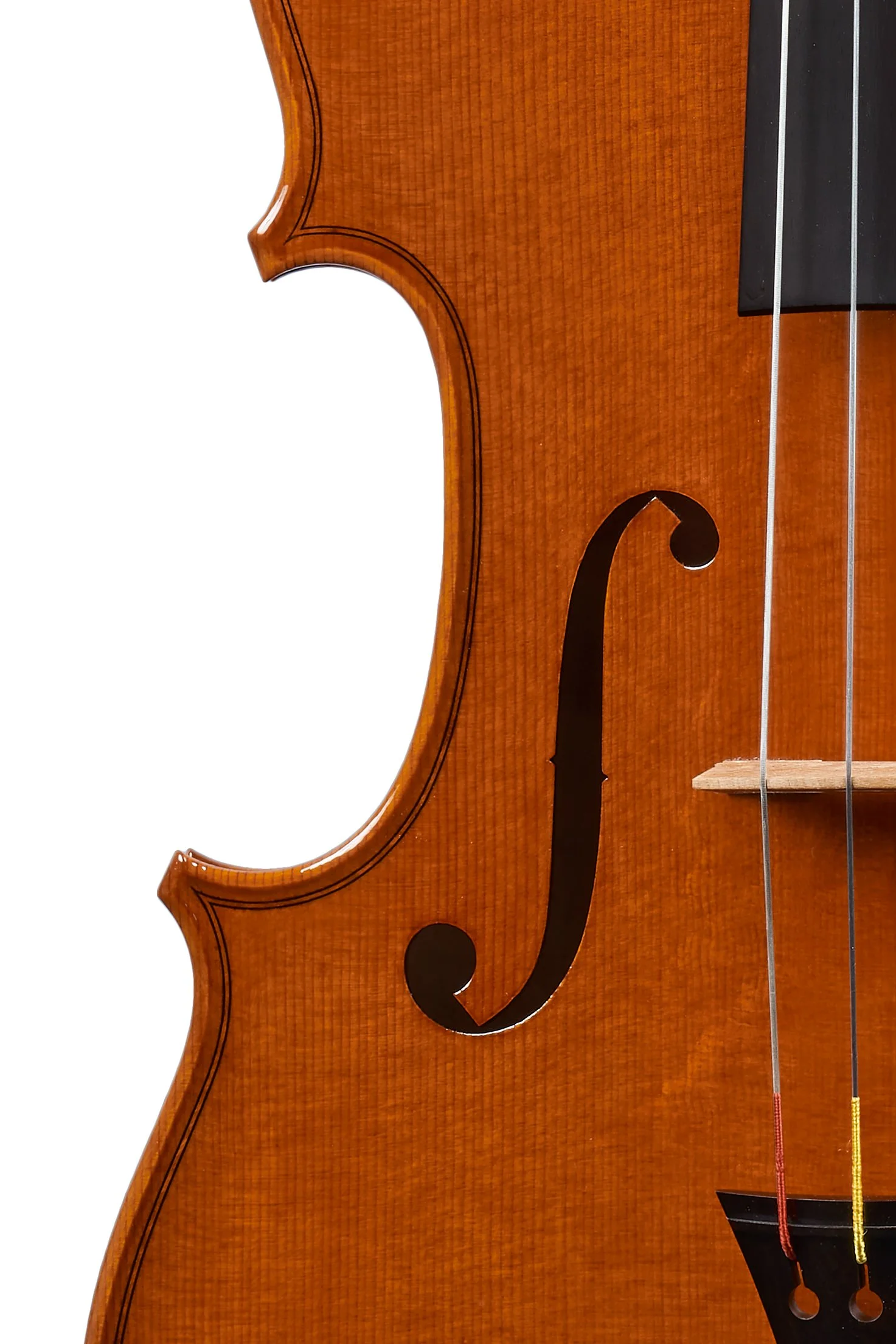 Front and f-hole detail of the Andrea Guarneri-model viola