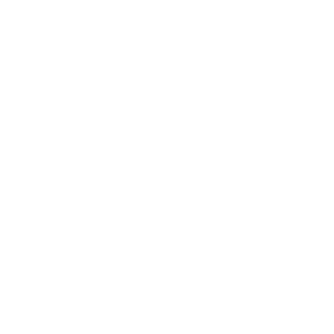 Icon of a megaphone with sound waves.