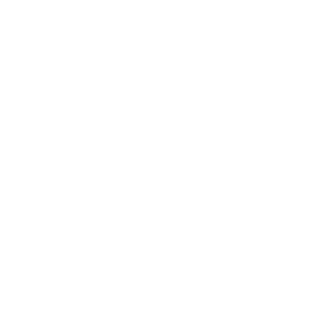 Icon of a person speaking at a podium with a microphone.