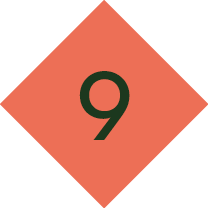 20250903_Baarle-Hertog_Website_nr9.png