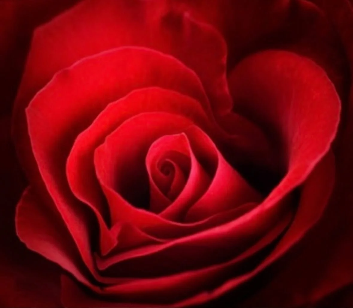 🌹✨ Honouring the Journey — Blood & Blossoms ✨🌹
Last night’s Blood & Blossoms gathering was truly profound.
To all who journeyed with me — I honour you. 💫
Together we walked through the sacred gateway of releasing shame th