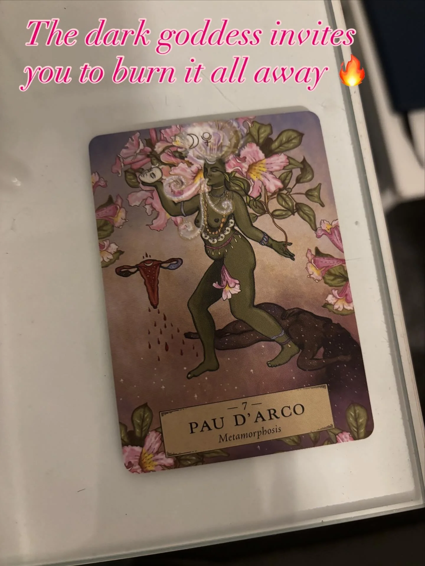 ✨🌿
Herbal Astrology Oracle – Adriana Ayales
Today the card Pau d’Arco found its way into my hands — a gentle yet powerful reminder of rebirth, strength, and sacred immunity.
Known as the “Tree of Life,” Pau d’Arco