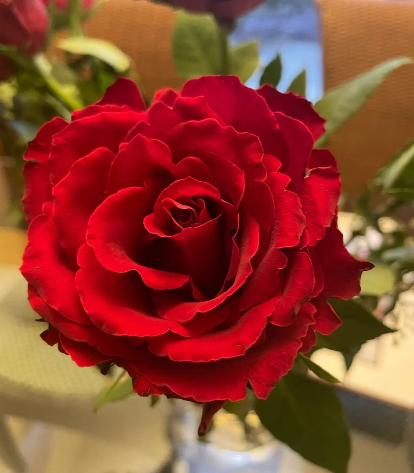 🌹✨ Tonight we gather for the final Blood &amp; Blossoms circle of this cycle ✨🌹
As we close this spiral, my heart is full of deep gratitude for every soul who has journeyed through these weeks of shadow work, healing, remembrance, release, and bloo