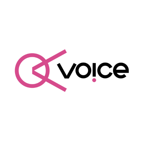 Youth Voice Training