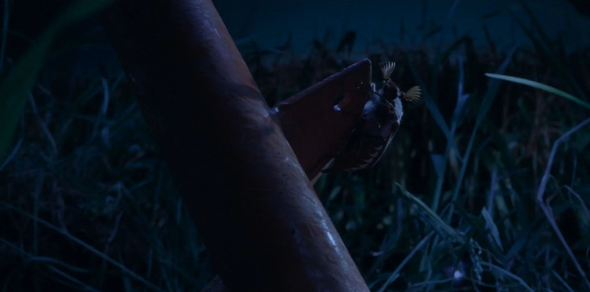 a real bugs life 04.jpg