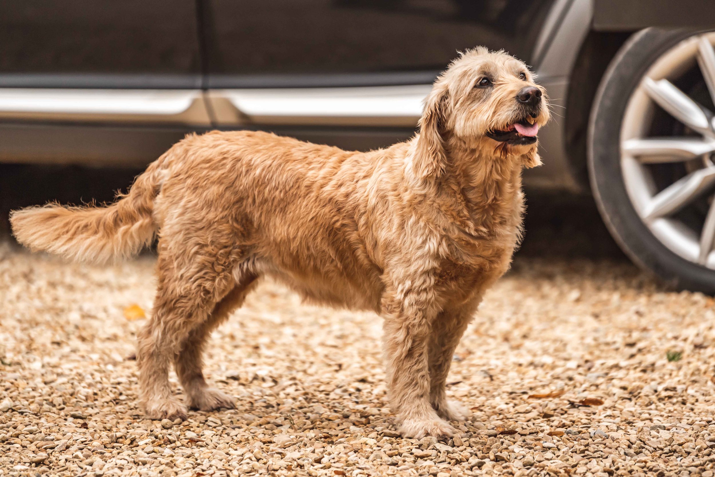 Loyton Miltons Sept 2021-42.jpg