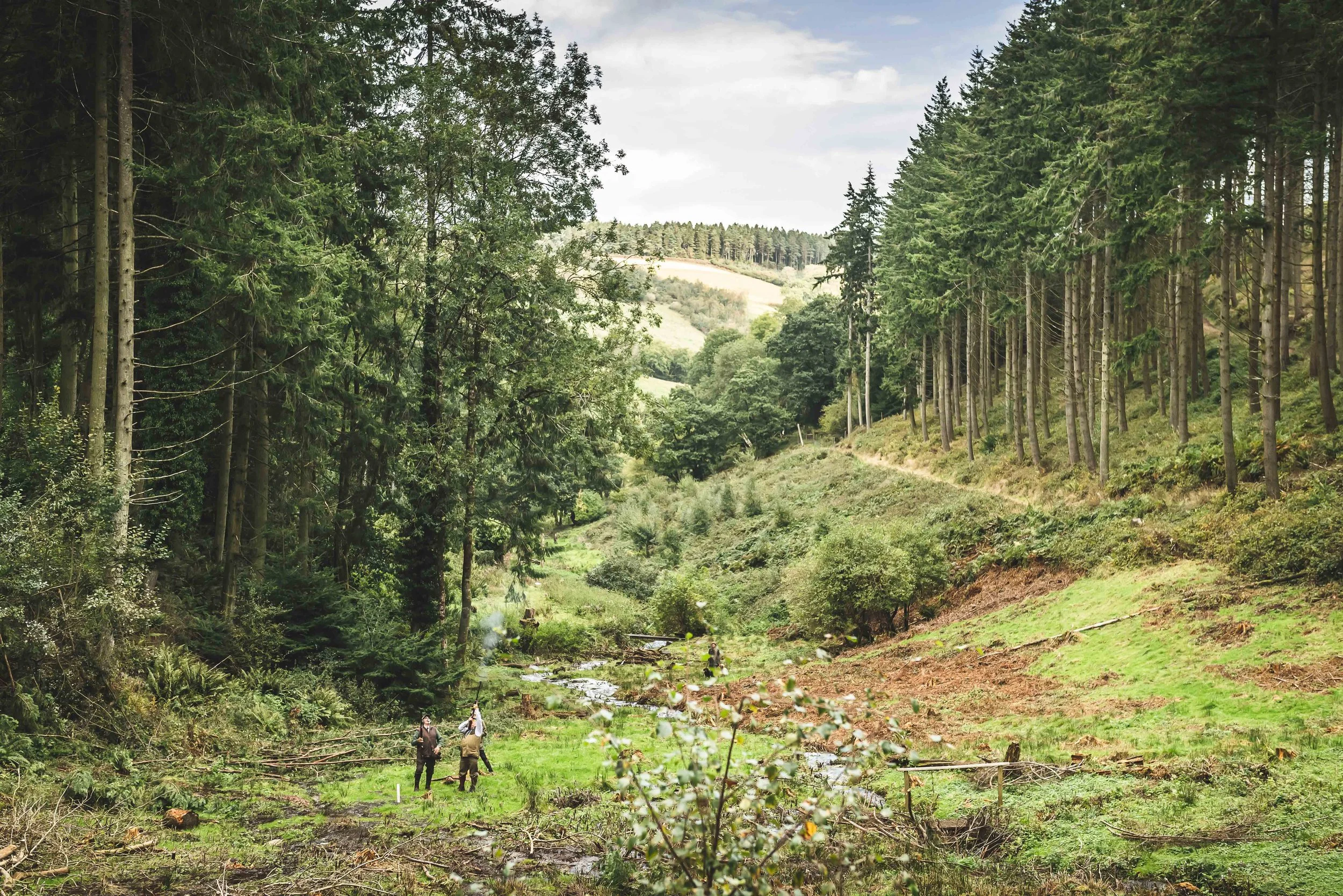 Loyton Combe Sydenham-387.jpg