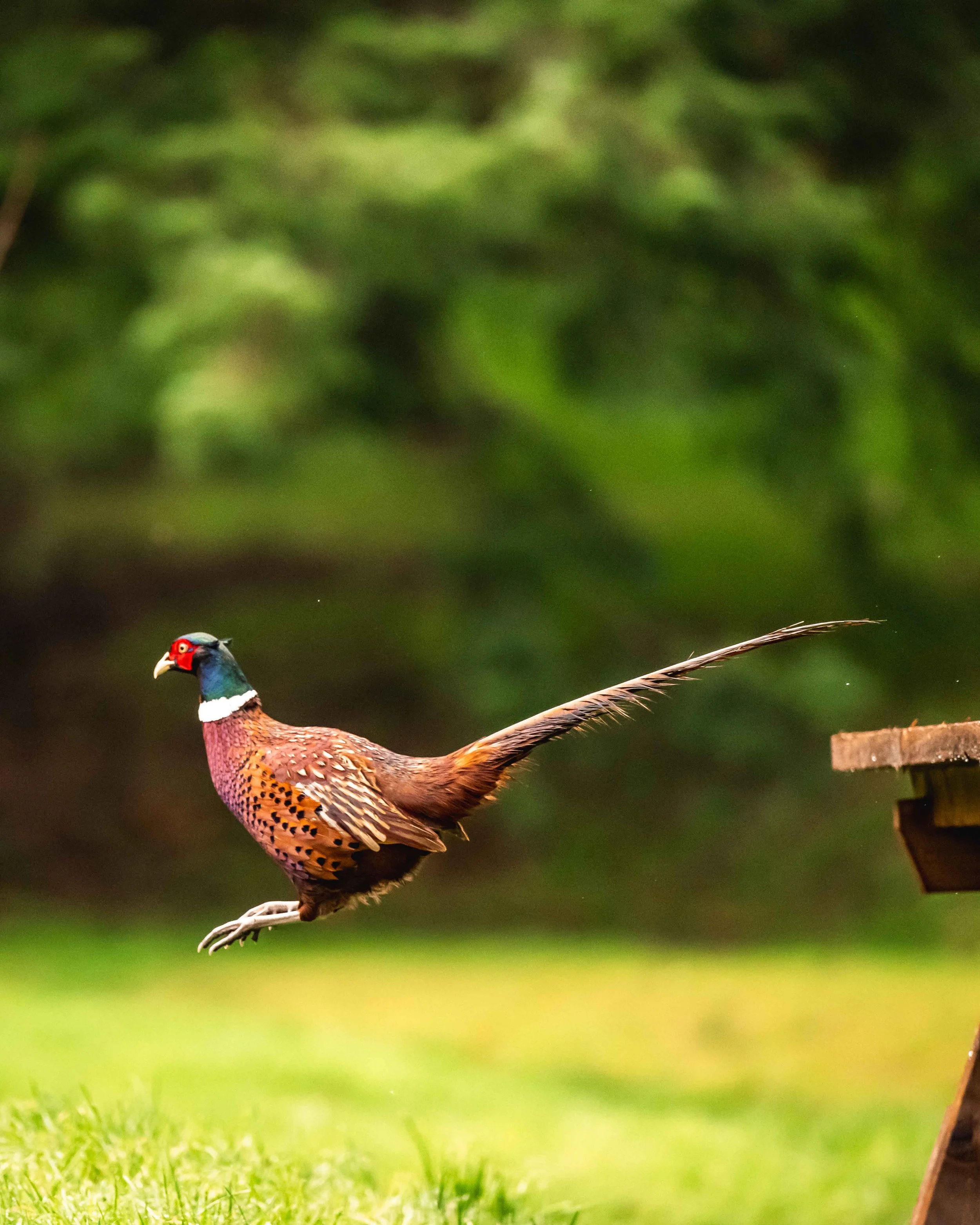 Loyton October 2024 sneak peek-261.jpg