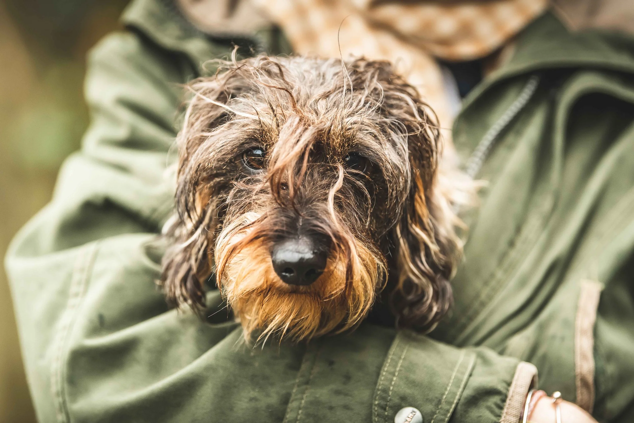 Loyton Challacombe 301019-401.jpg