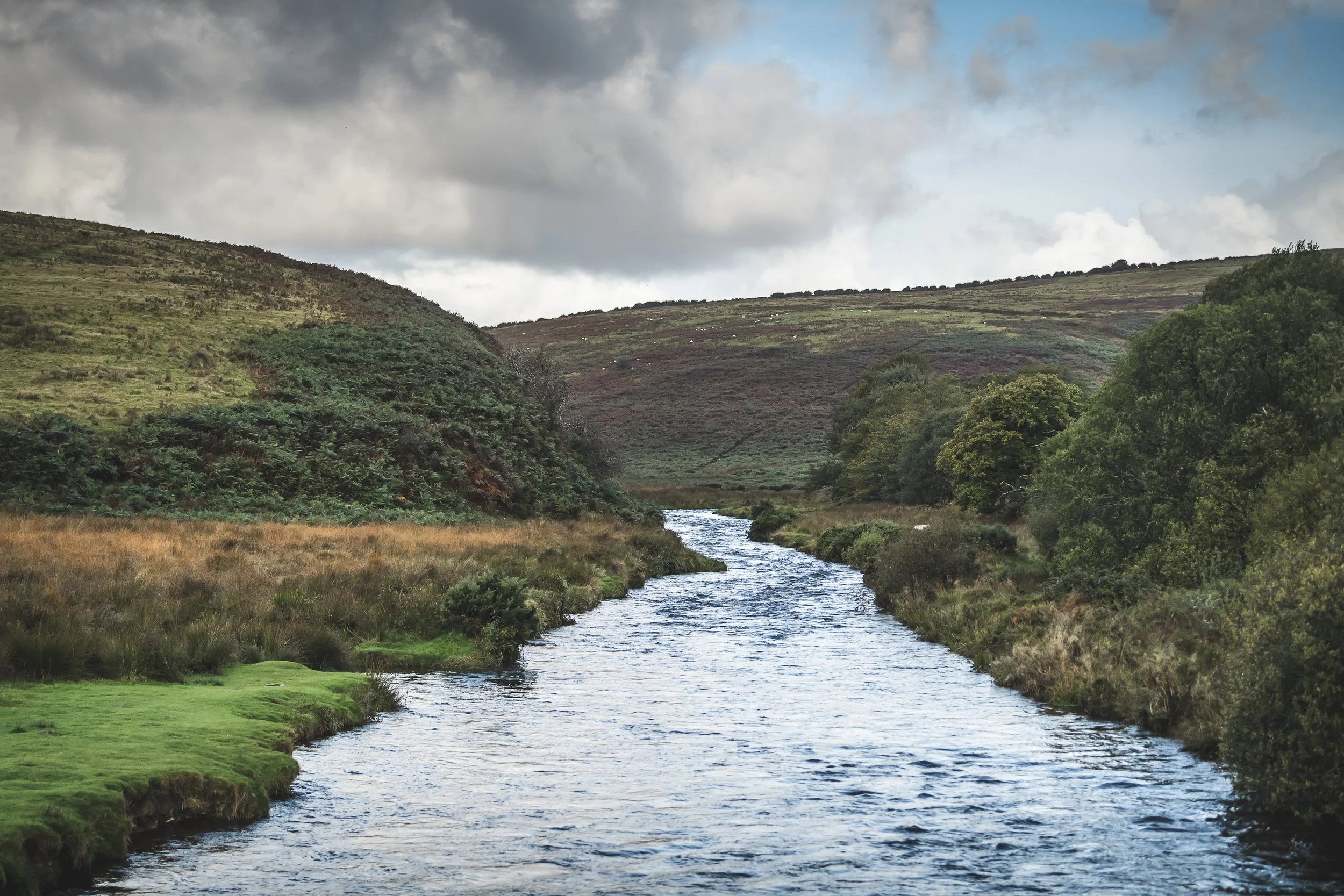 A winding river flowing through the wild Exmoor countryside near Loyton.