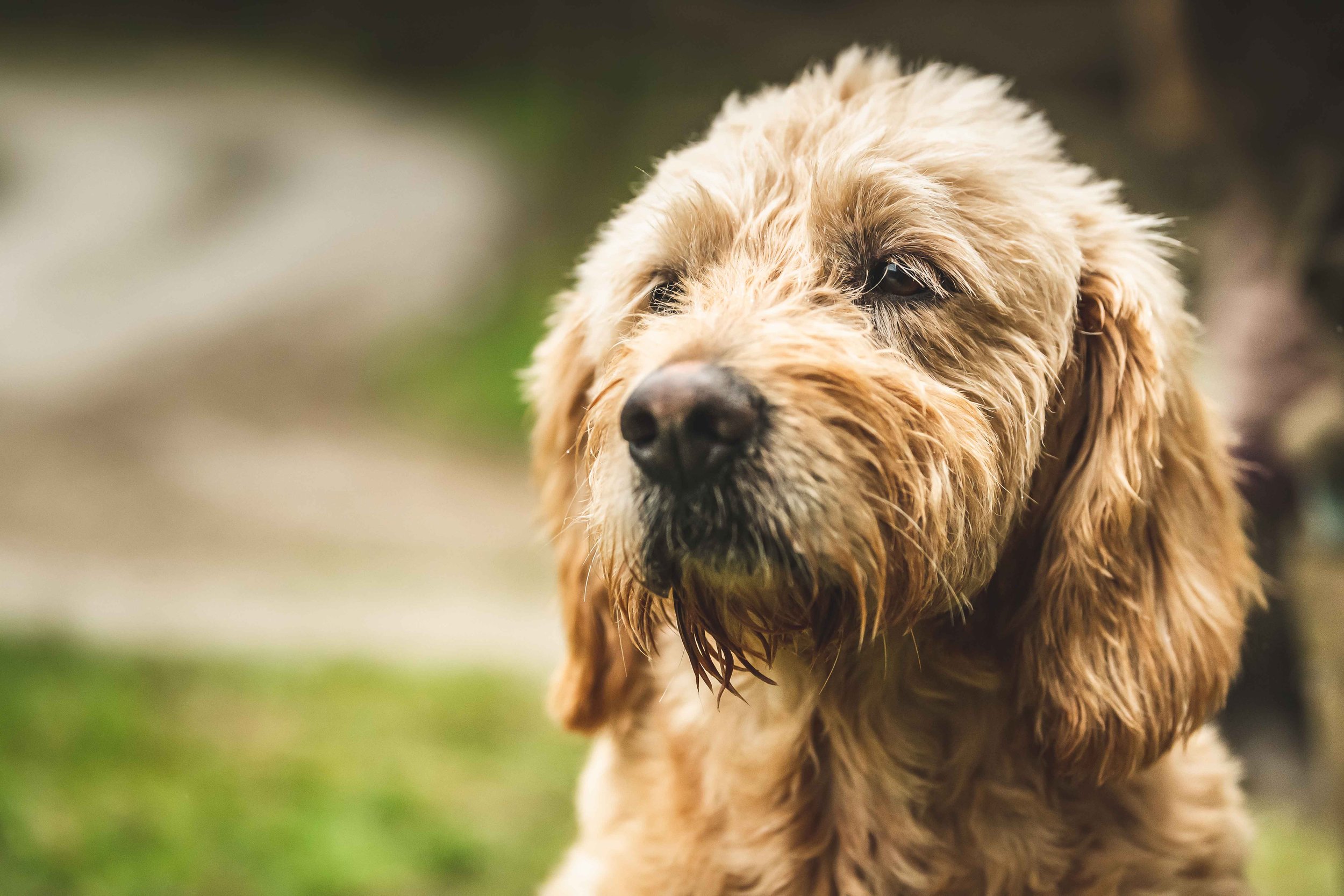 Loyton Challacombe 301019-405.jpg