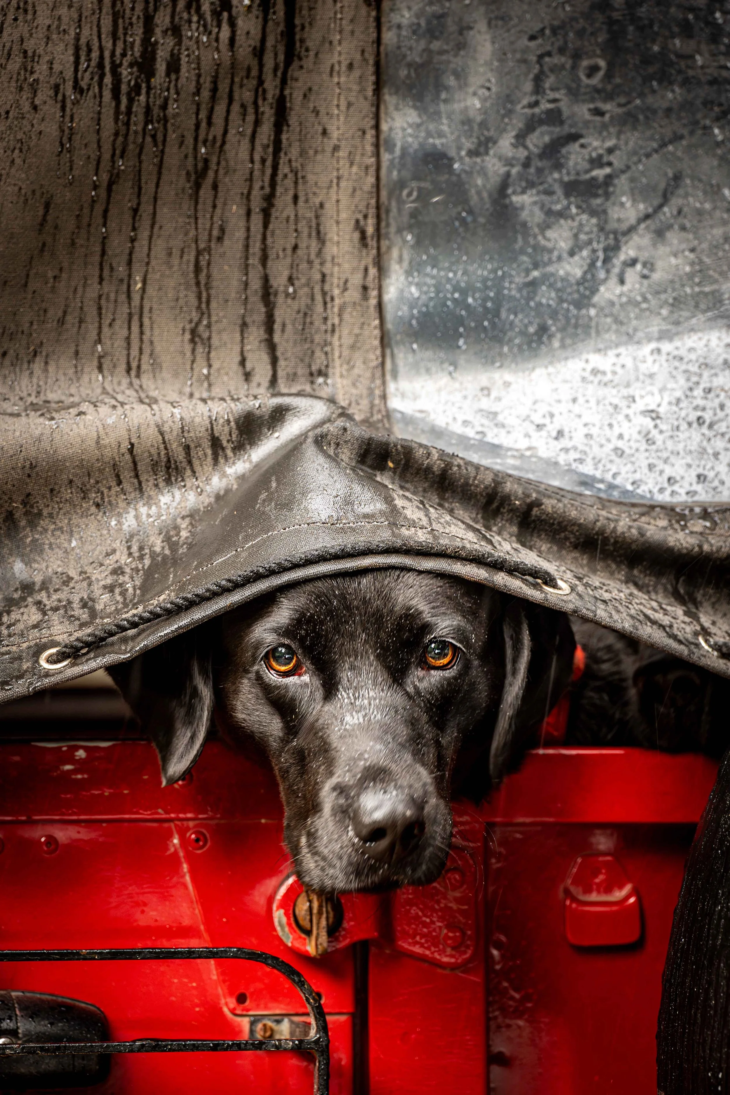 SS Combe Sydenham-4.jpg