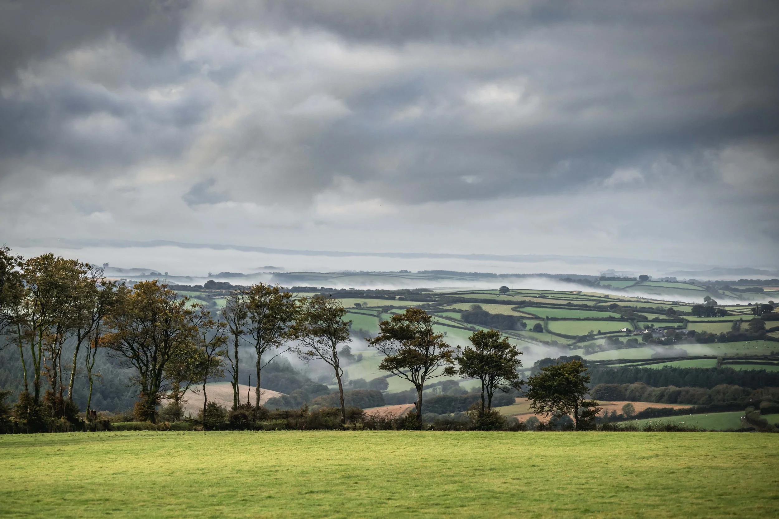 Rolling Devon countryside under an overcast sky.