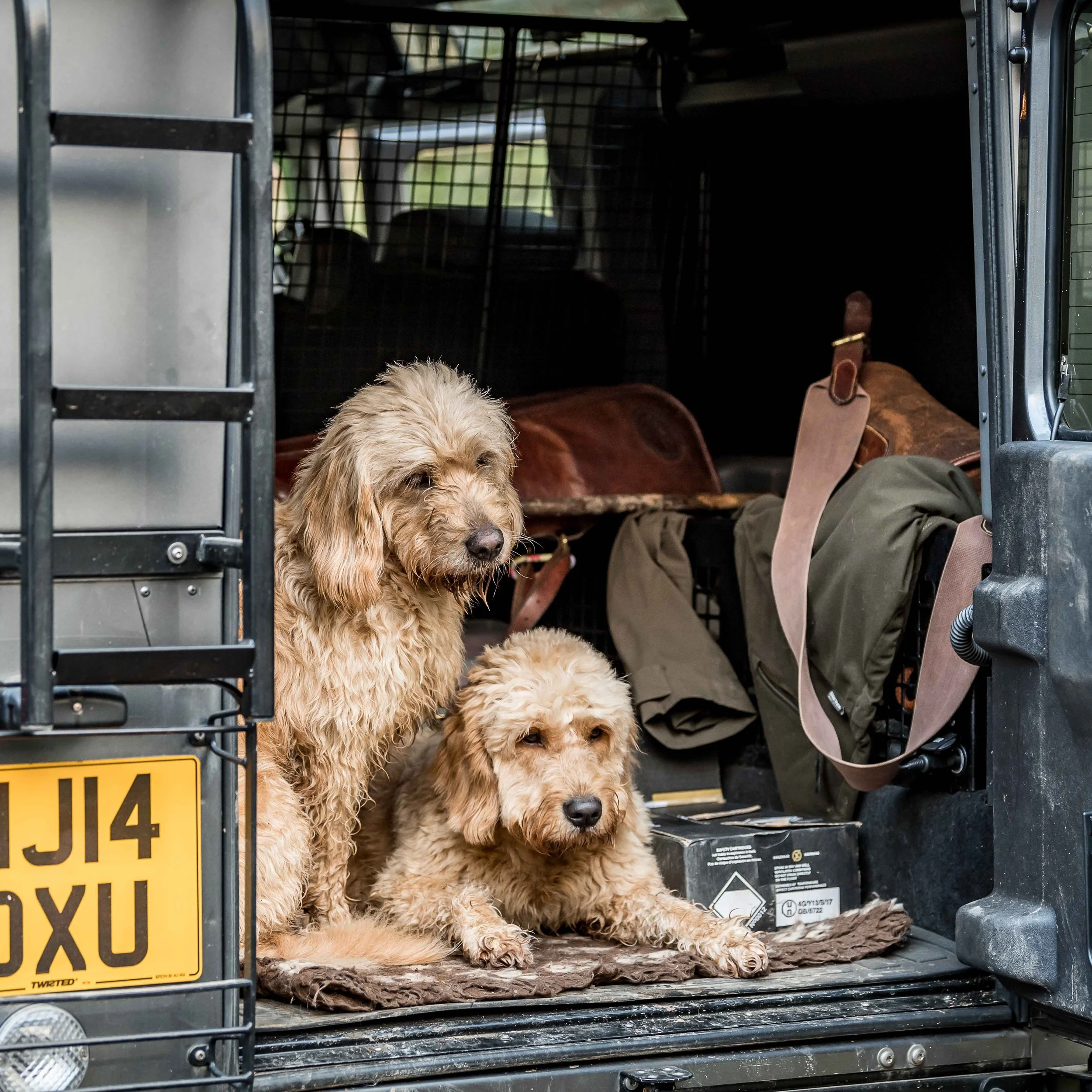 Molland 080119-708.jpg