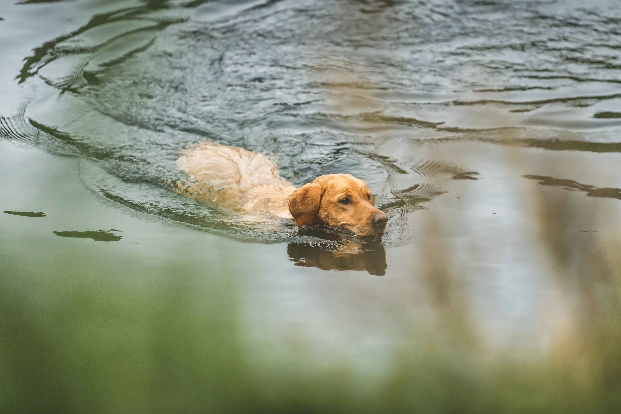 Loyton Challacombe 301019-128.jpg