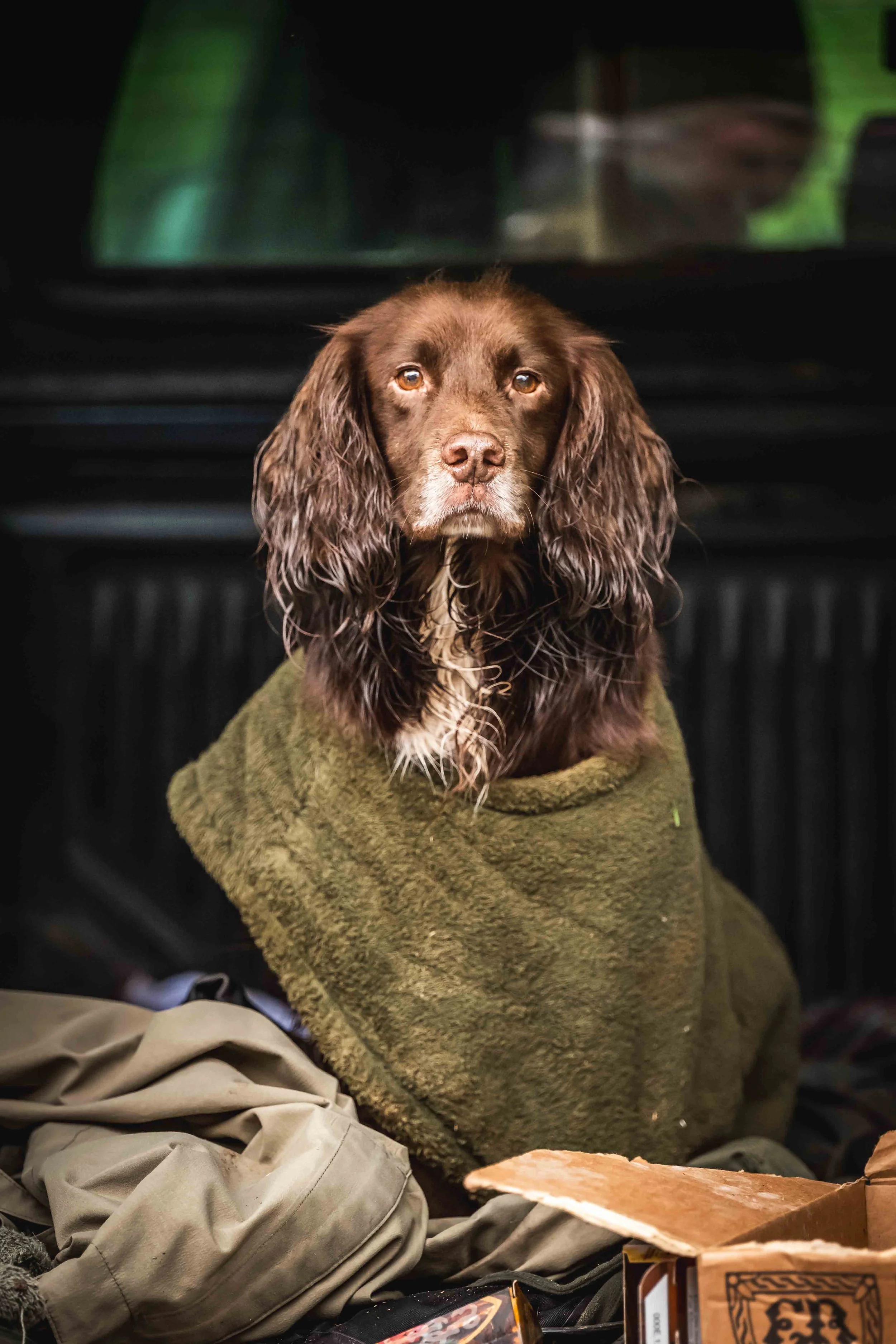 Molland 290124-317.jpg