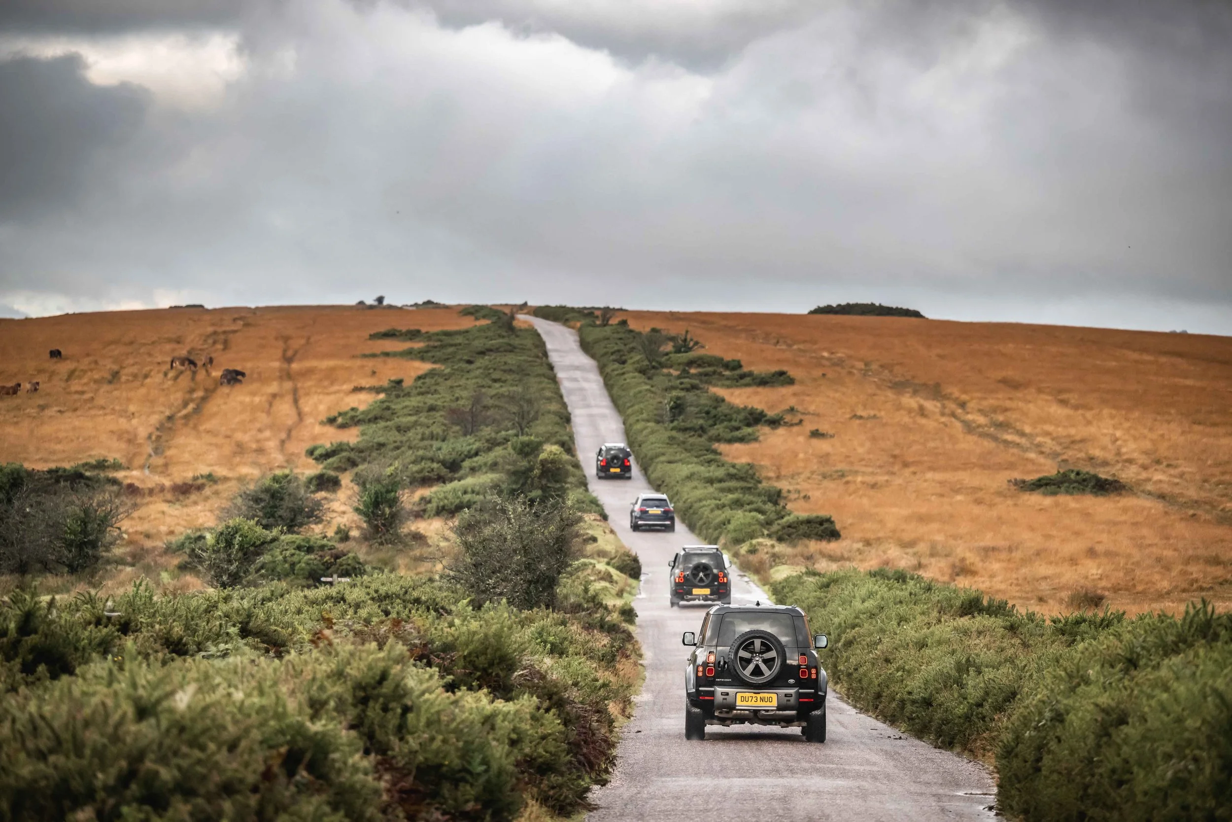 Loyton October 2024 sneak peek-149.jpg