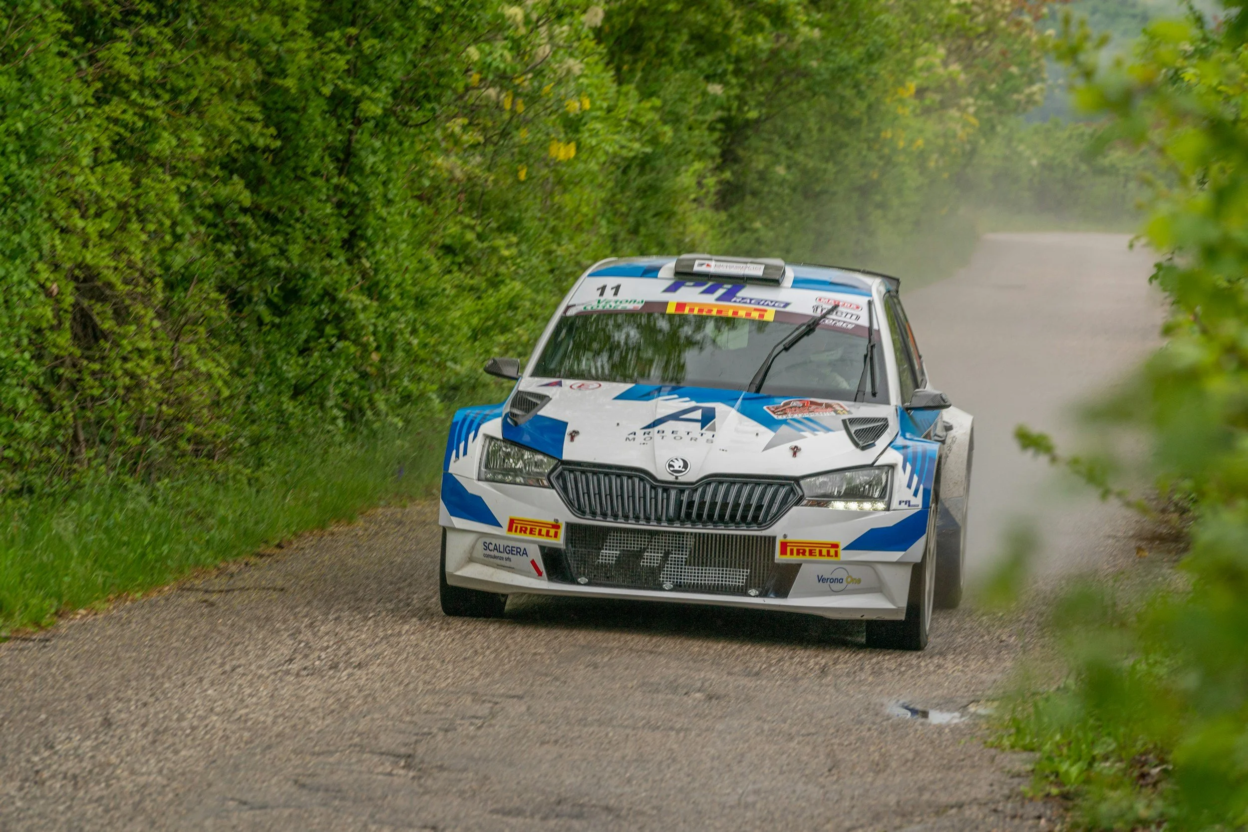 Witte en blauwe rallyauto rijdt over een smalle wegen door een bos.
