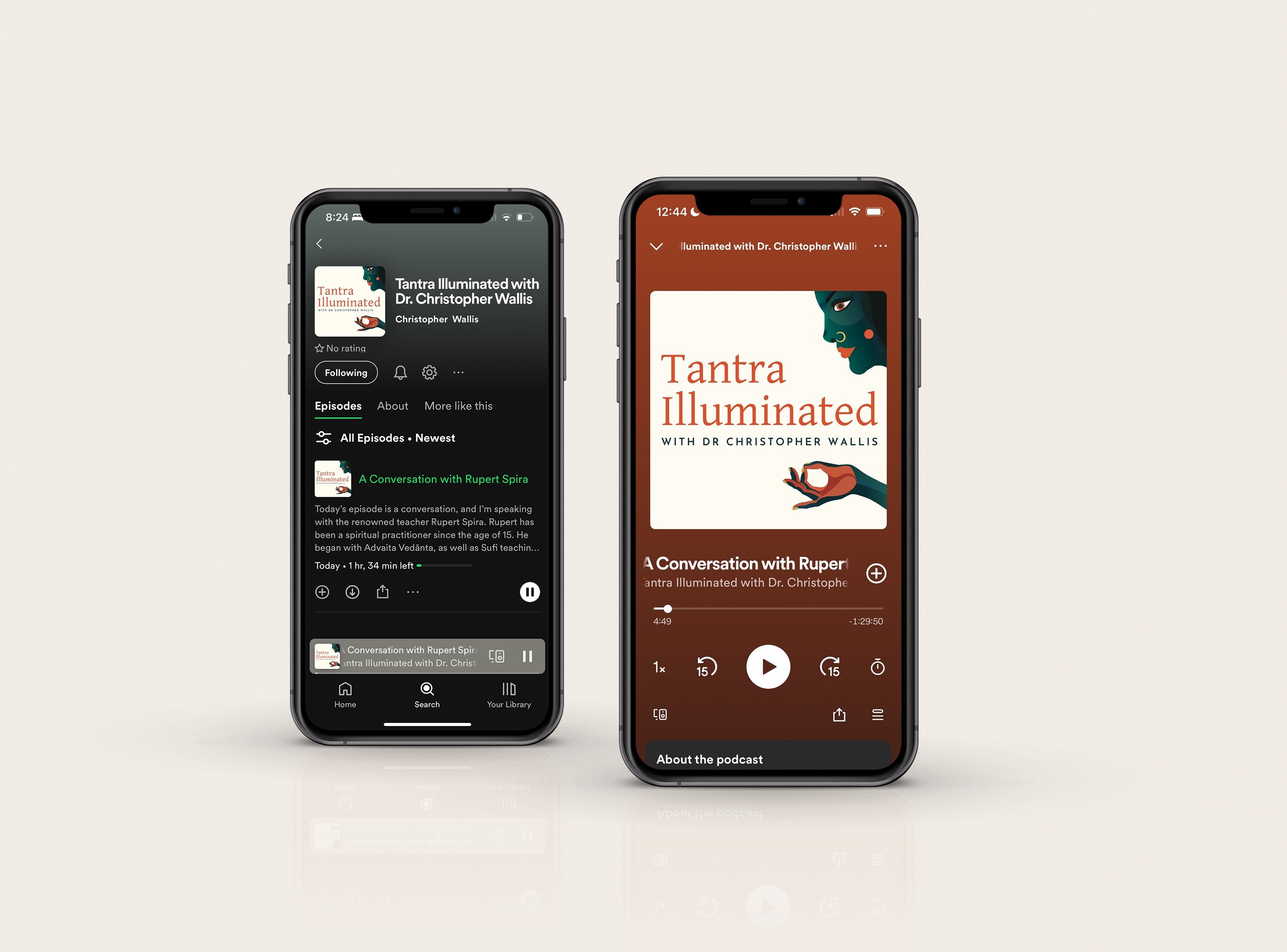 Podcast Branding -Custom Illustration 