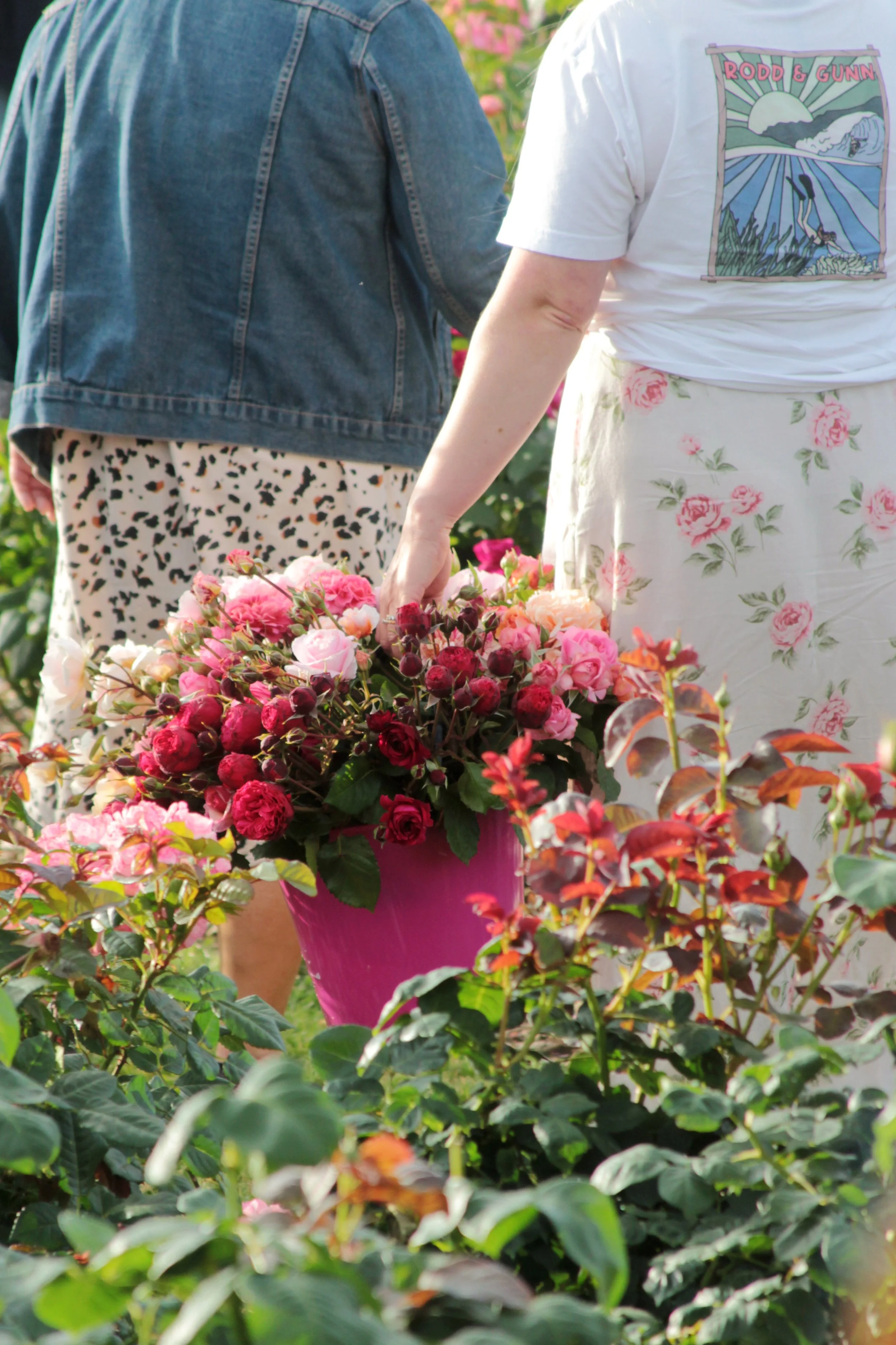 IMG_6515 - Edit 2.jpg