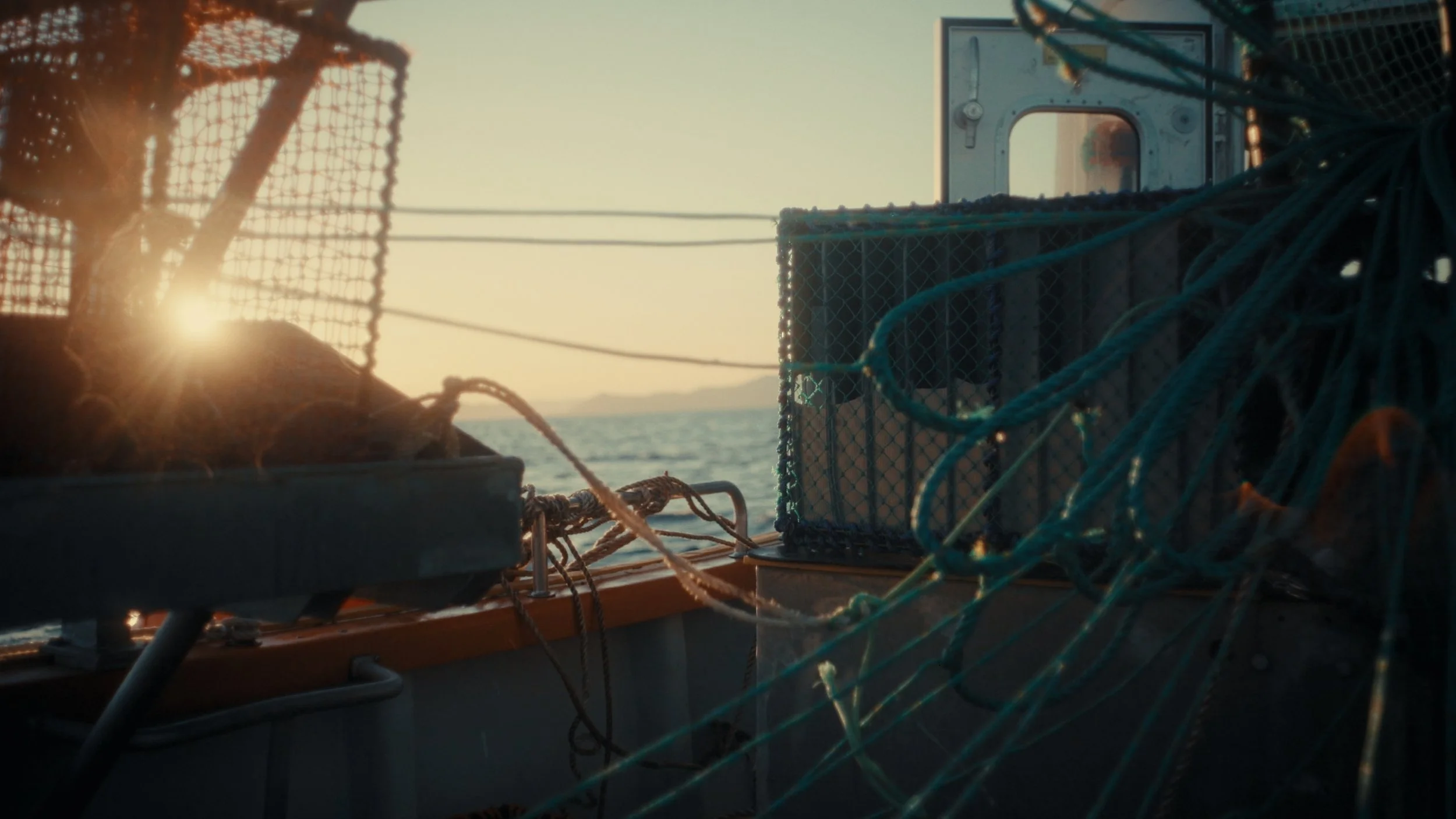 AAFKxVARD @Palmtreeprod Still 2025-12-17 112113_1.22.1_1.2.2.jpg