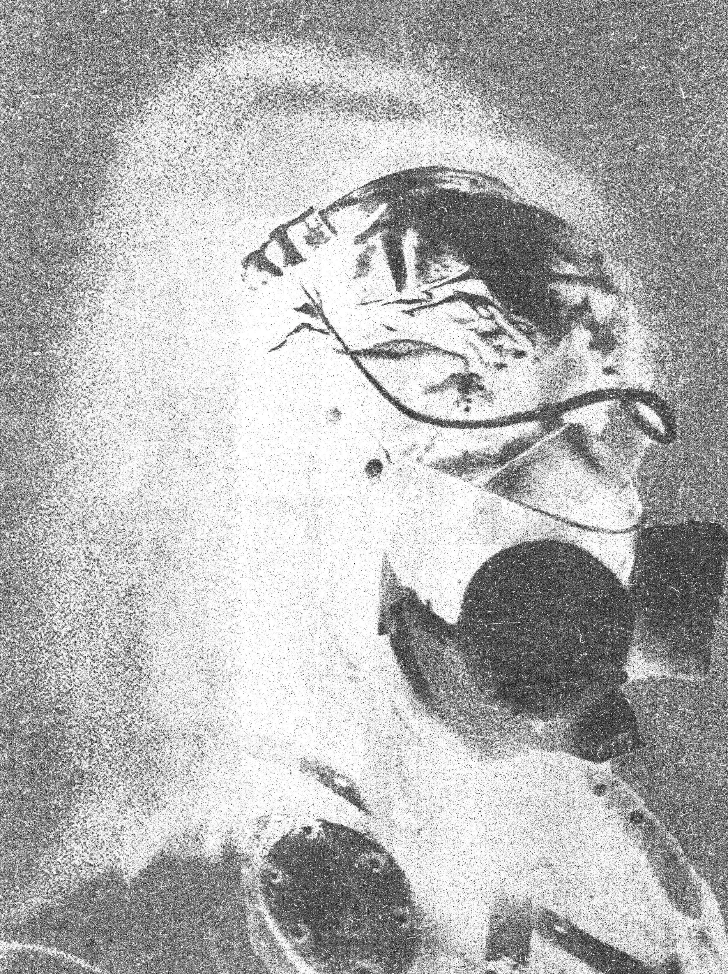 Abstract figure representing nuclear risk and guarded infrastructure