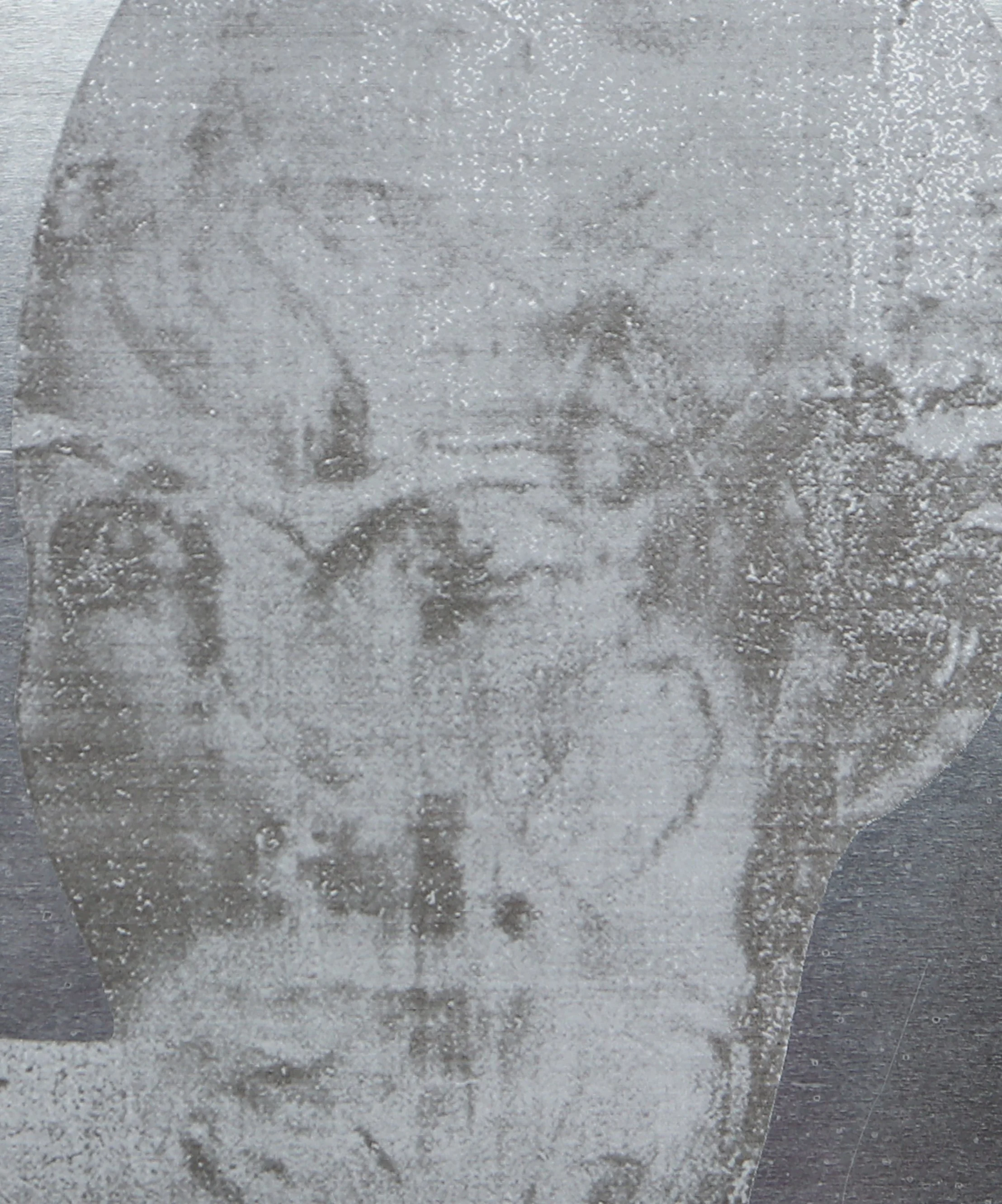 Conceptual AI face representing The Garden, a future of artificial intelligence, abundance, fulfilled desire, and increasing human dependency.