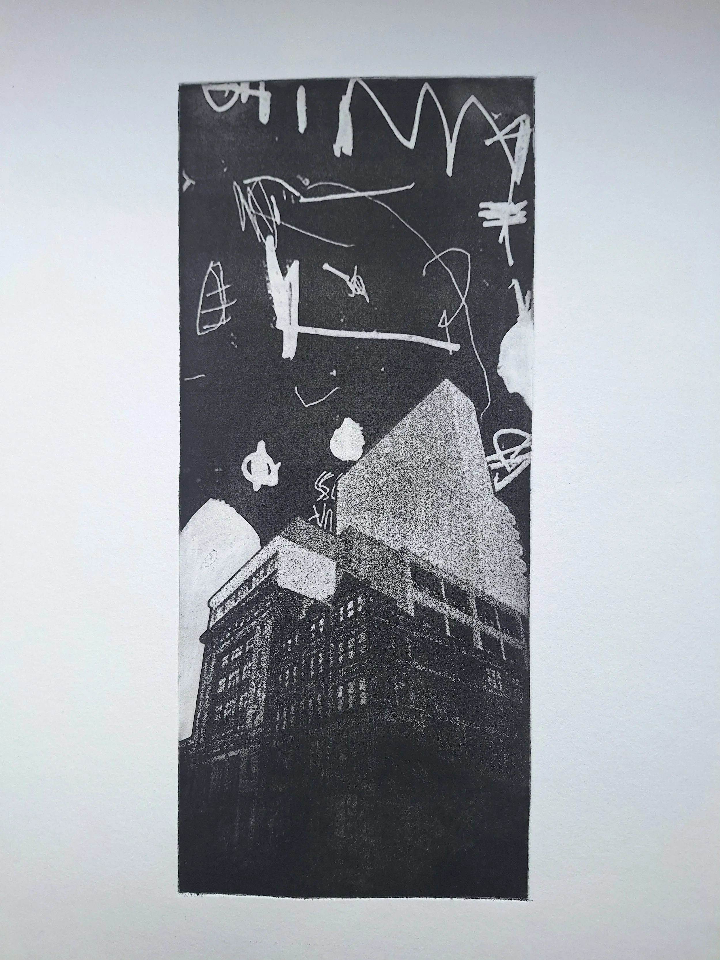 Night Sky on Sirius.jpg