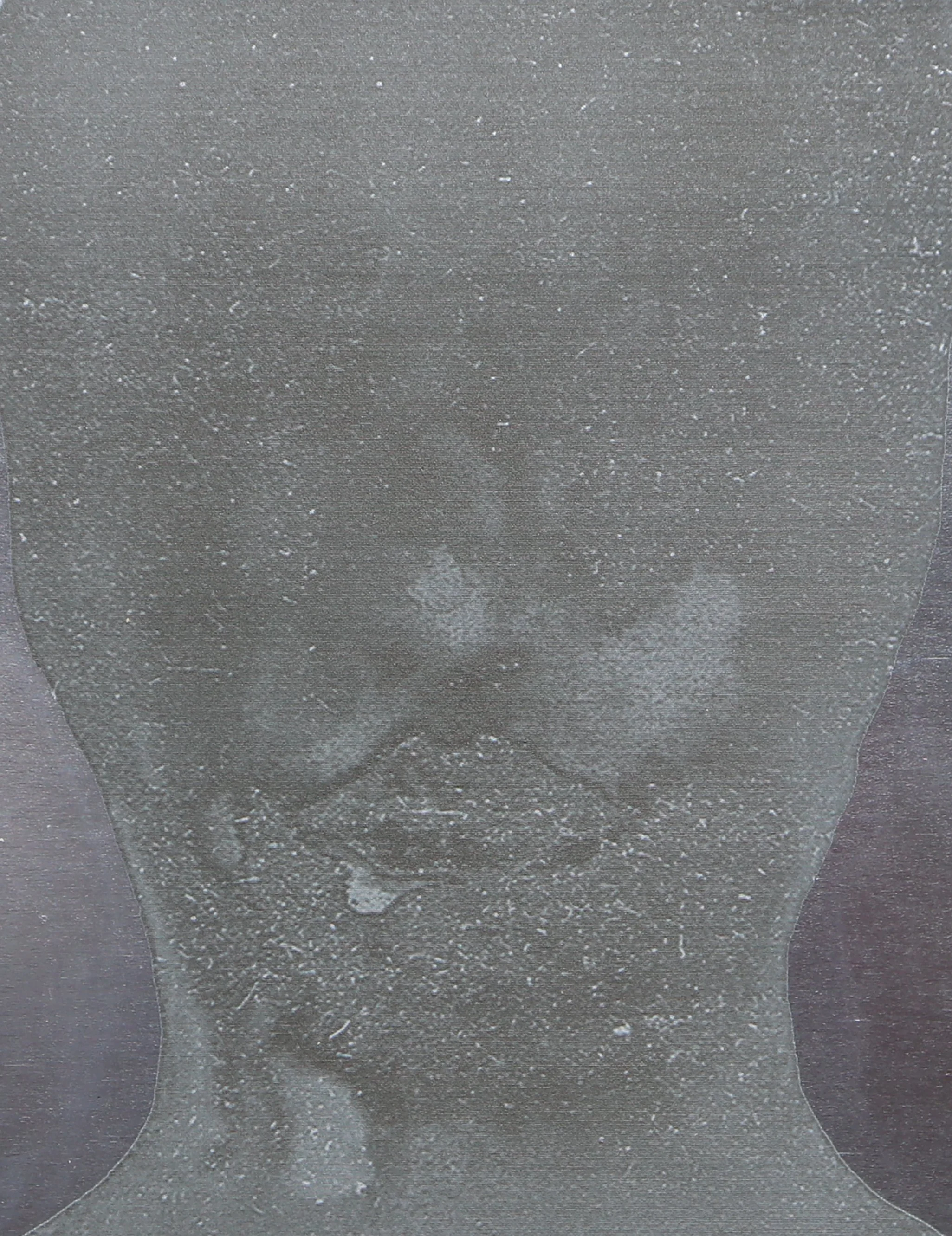 Conceptual AI face representing The Vault, a future where advanced artificial intelligence, knowledge, wealth, and technological power become concentrated.