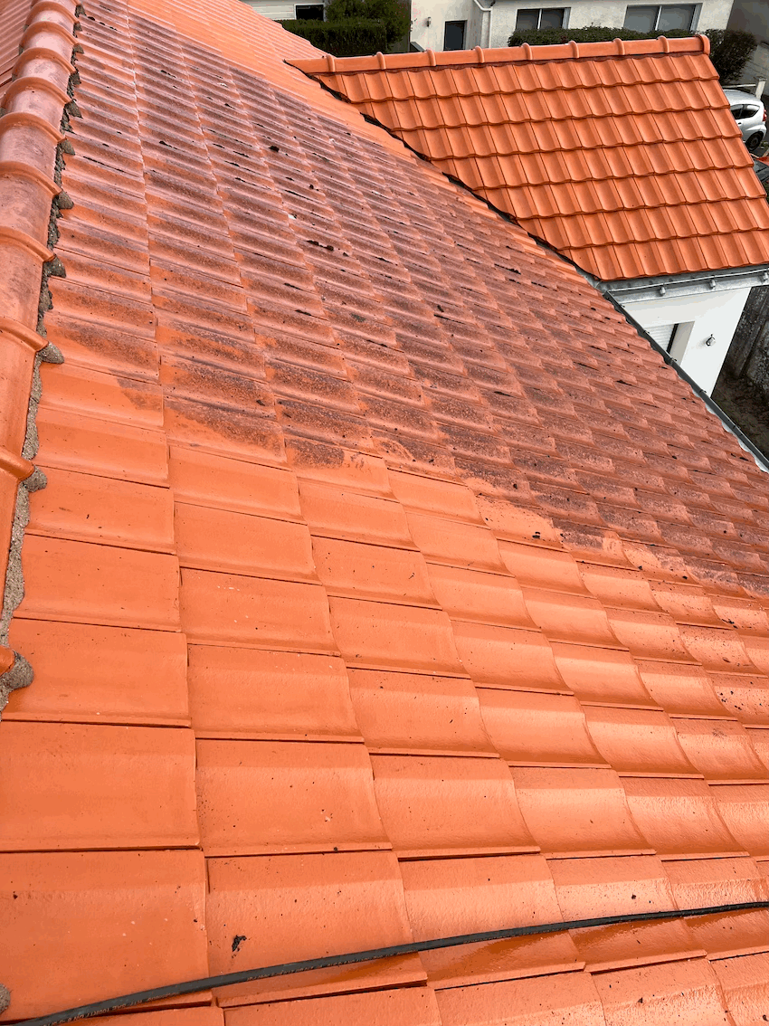 Nettoyage et démoussage de toiture à Vertou et sa région 