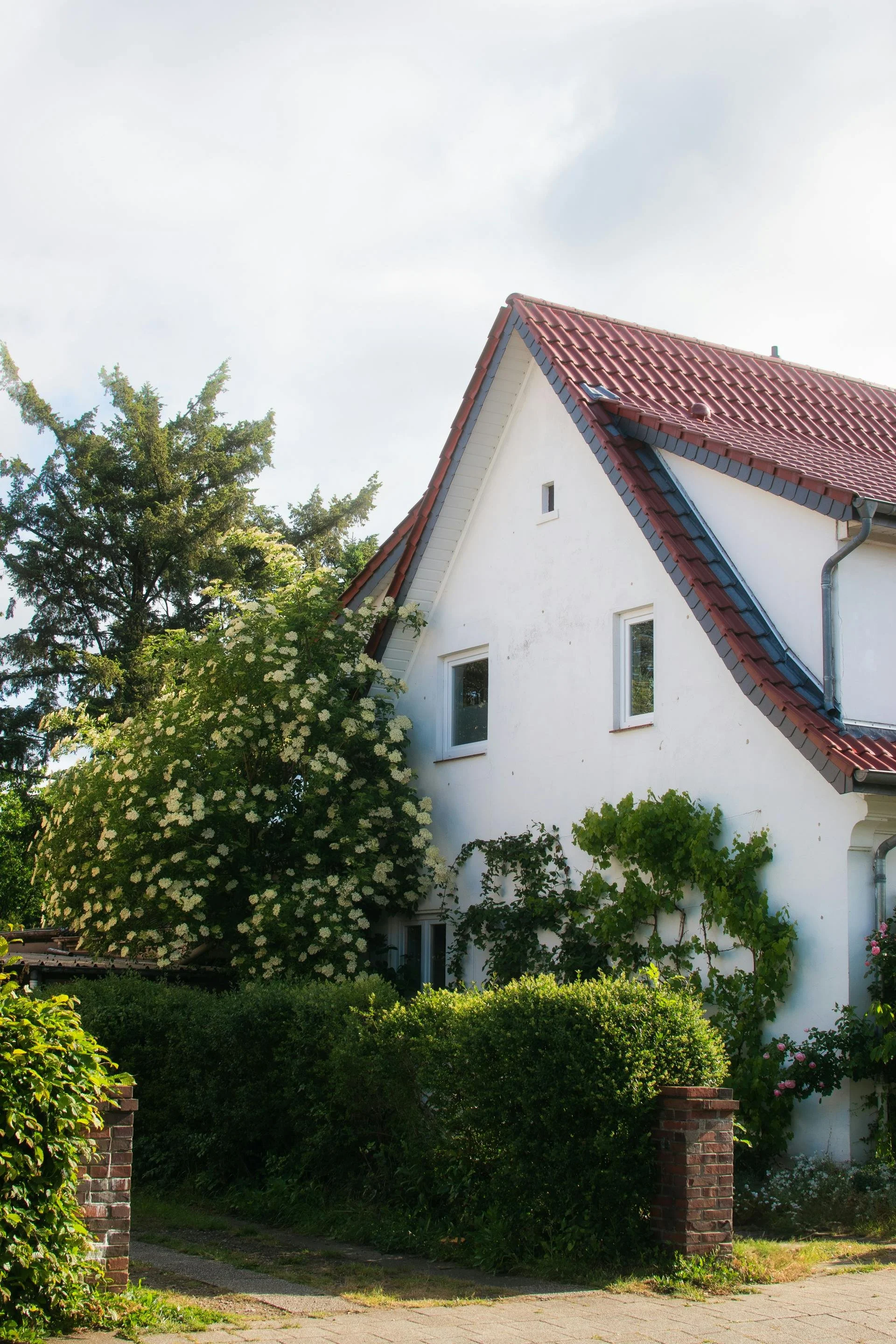 Protection durable contre infiltrations d'eau, mousses et fissures. Revêtement imperméable haute performance pour murs extérieurs sains et protégés.