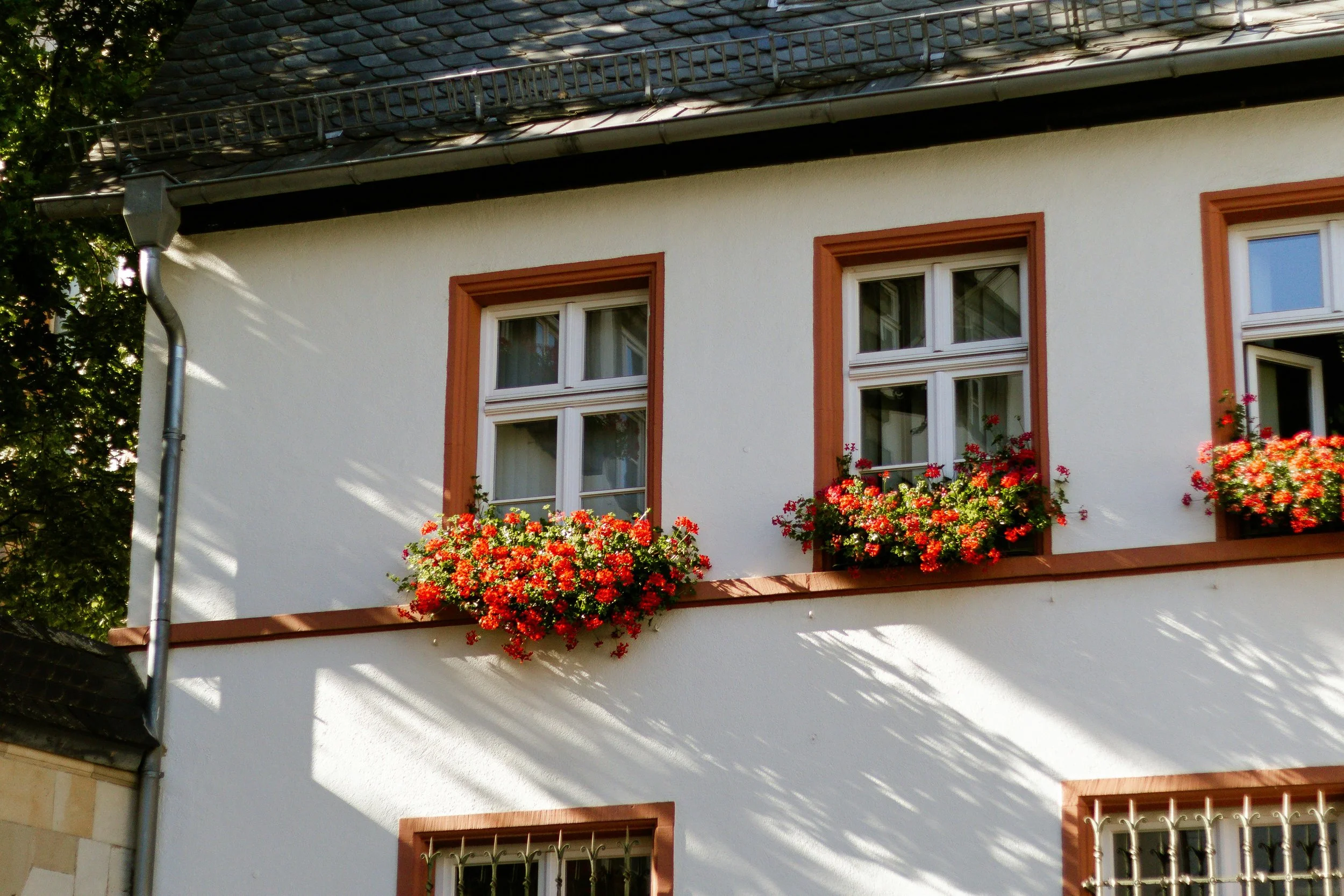 À Nantes, peinture de façade avec teintes contrastées : tons neutres sur les murs principaux, couleurs vives dynamisant les tableaux pour un rendu moderne et personnalisé.