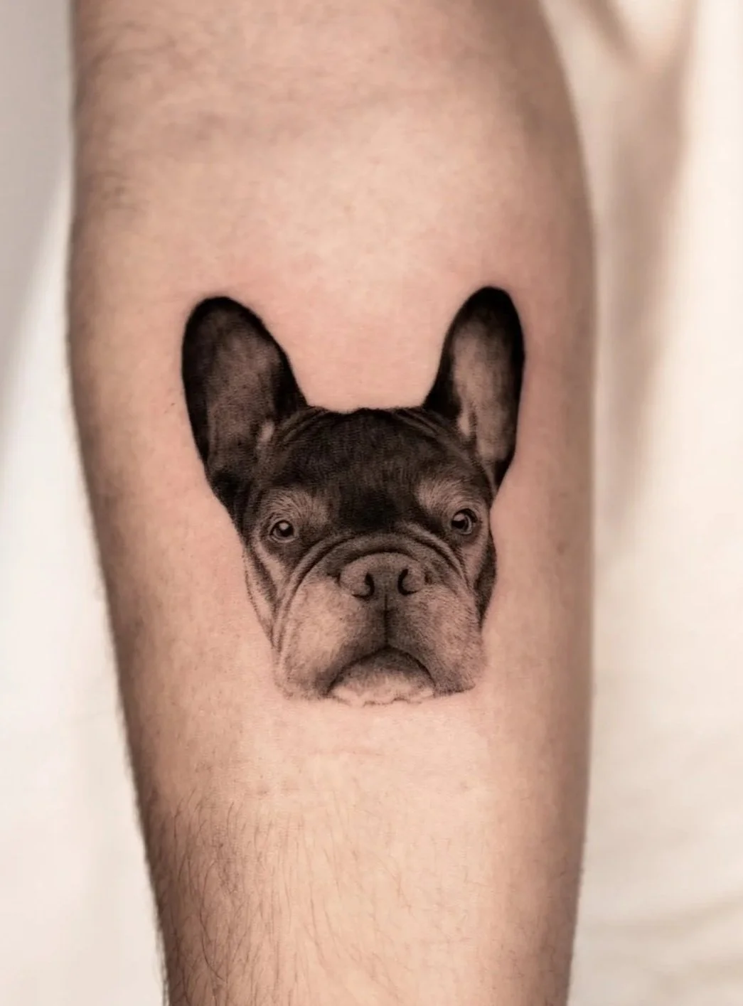 Tatuaje de la cara de un perro bulldog francés en el muslo de una persona.