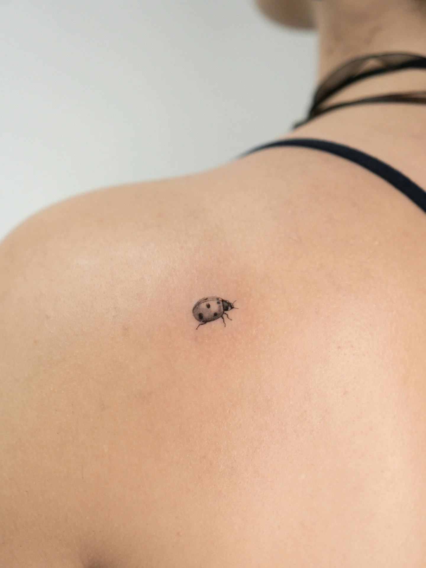 Peque&ntilde;a 🐞 que he hecho en Granada ❤️