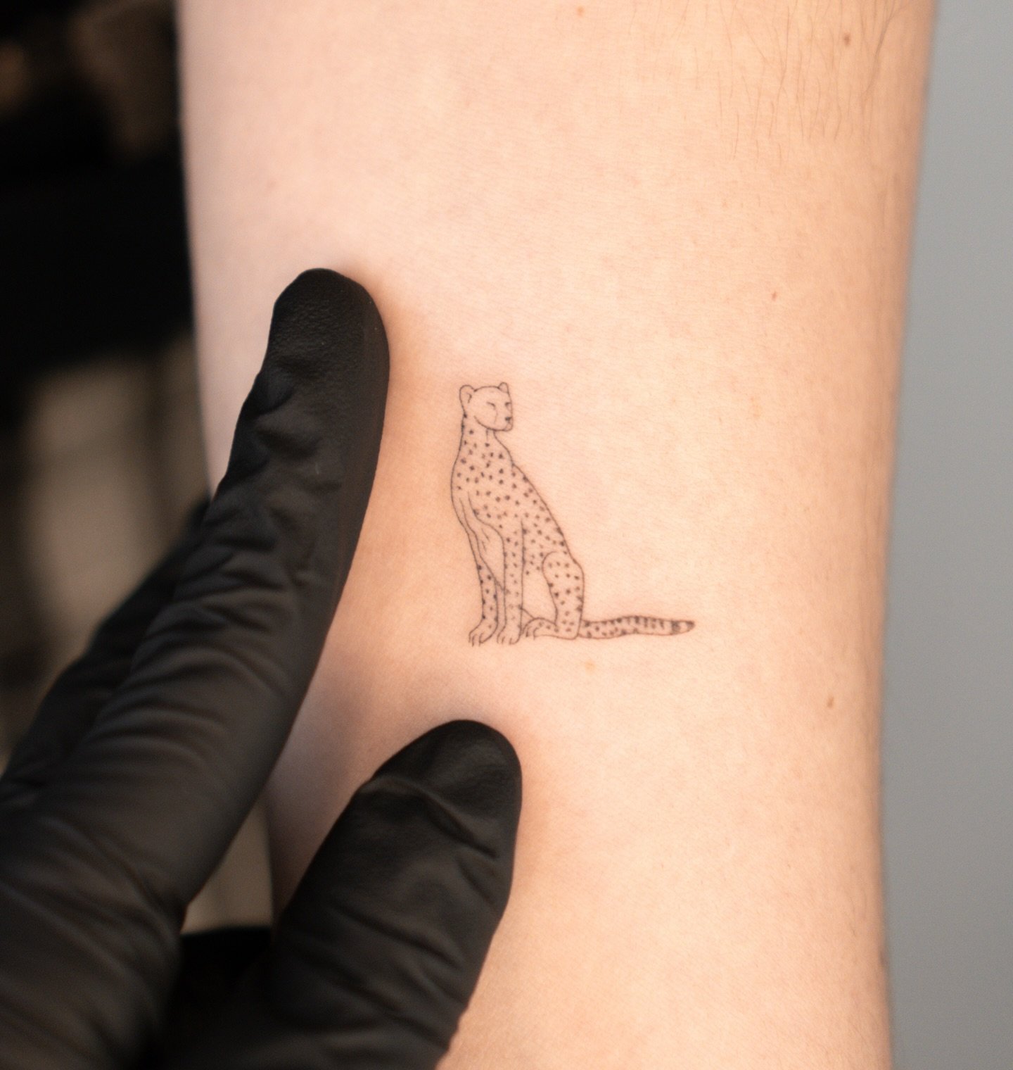 Peque&ntilde;o guepardo 🐆, muy muy peque&ntilde;o. No se aprecia en la foto ❤️. Me encant&oacute; realizar este dise&ntilde;o de mis disponibles. Queda adorable &iquest;verdad? 🥹