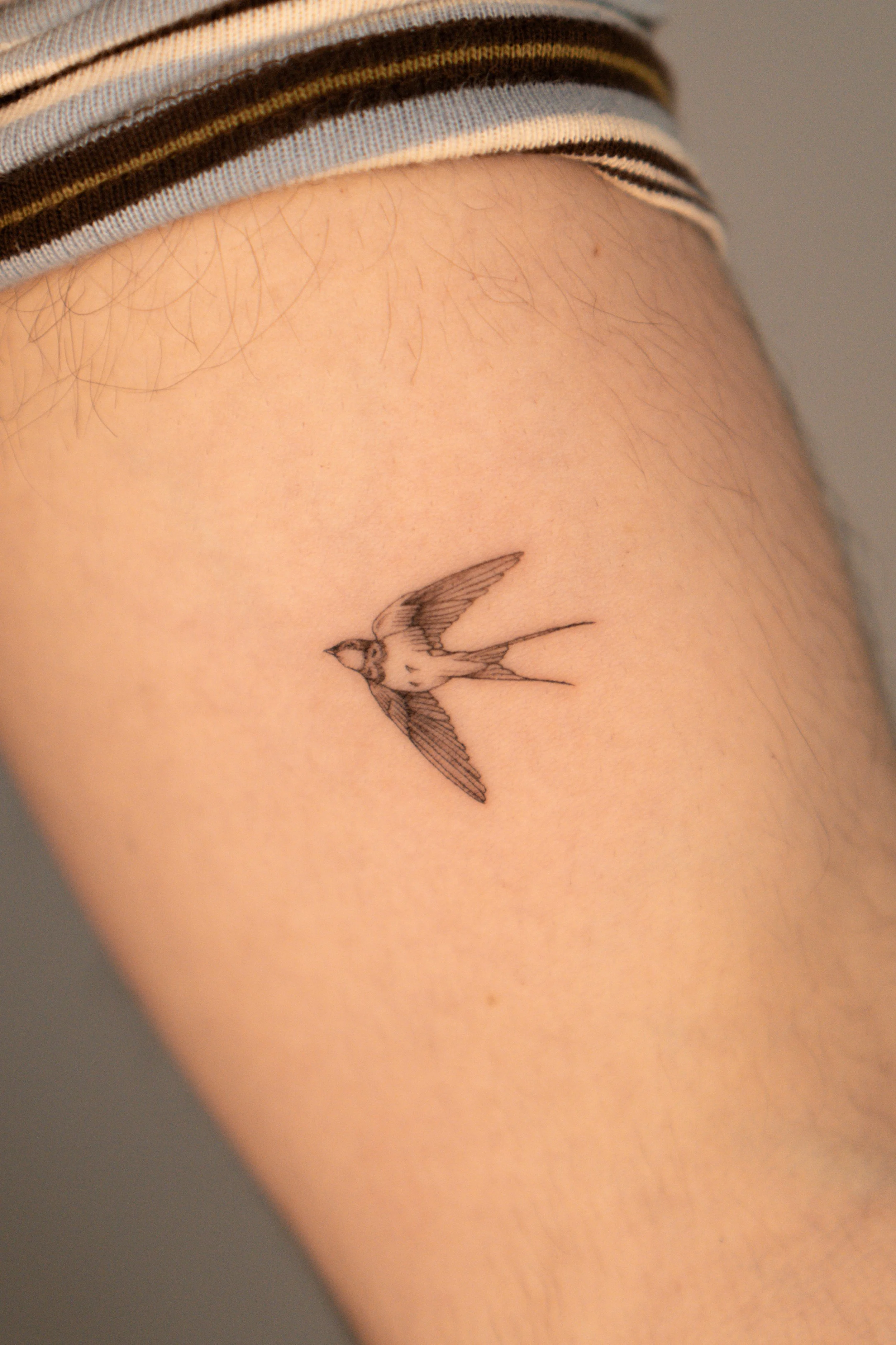Tatuaje de un colibrí en el brazo.