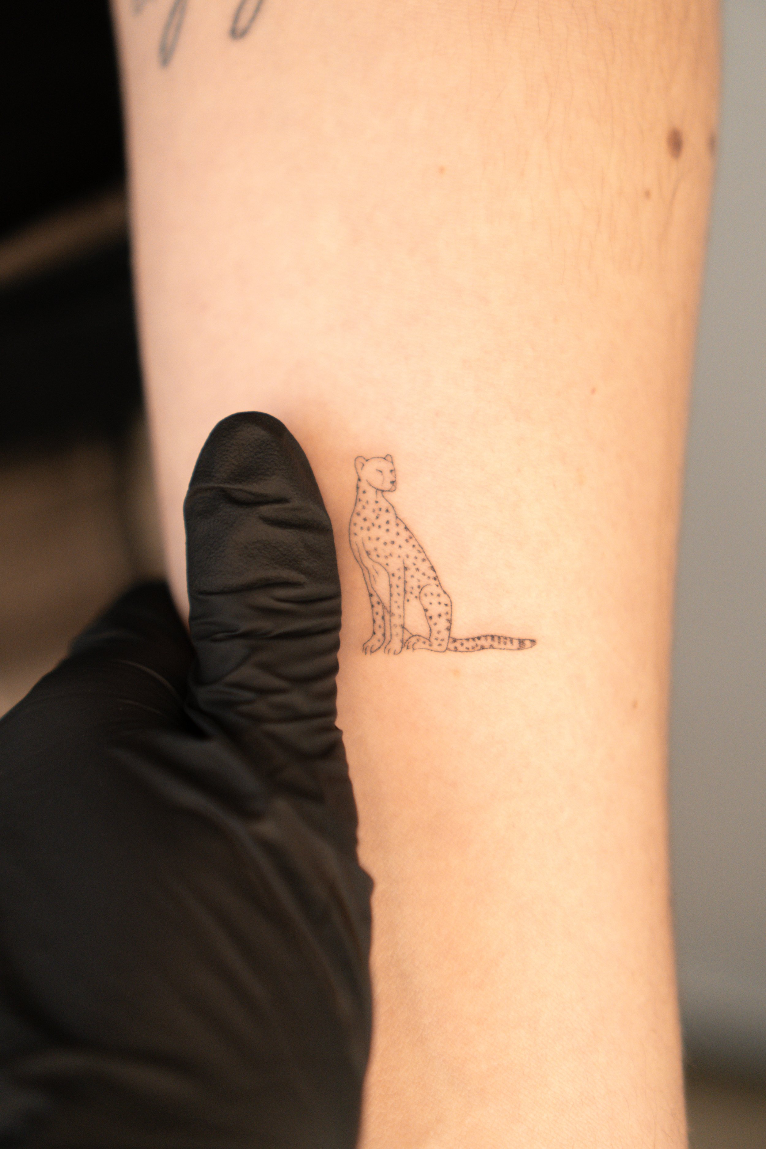 Dibujo de un guepardo en la piel de una persona, con una mano con guante negro tocando la piel.