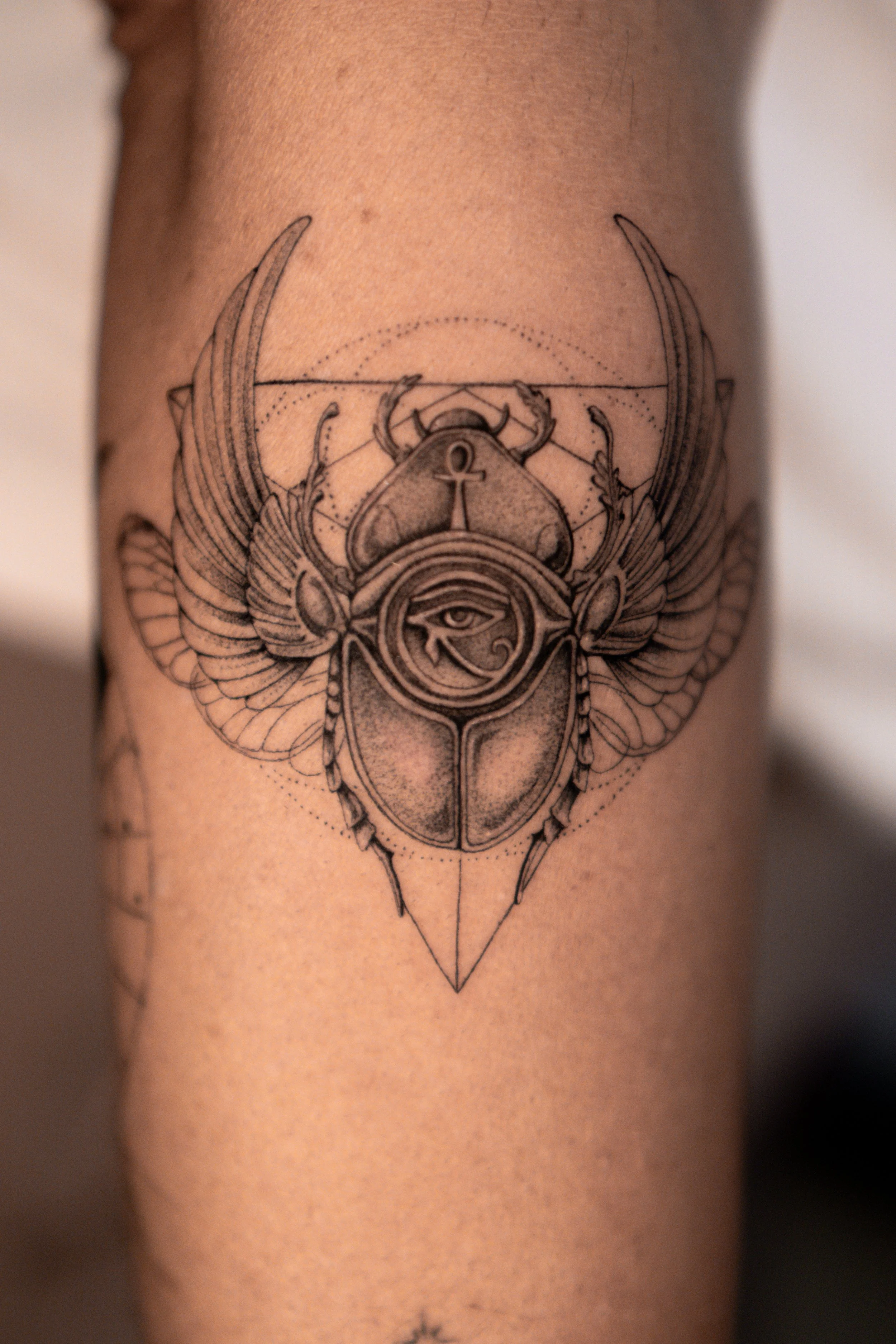 DSC00041 (1).JPG