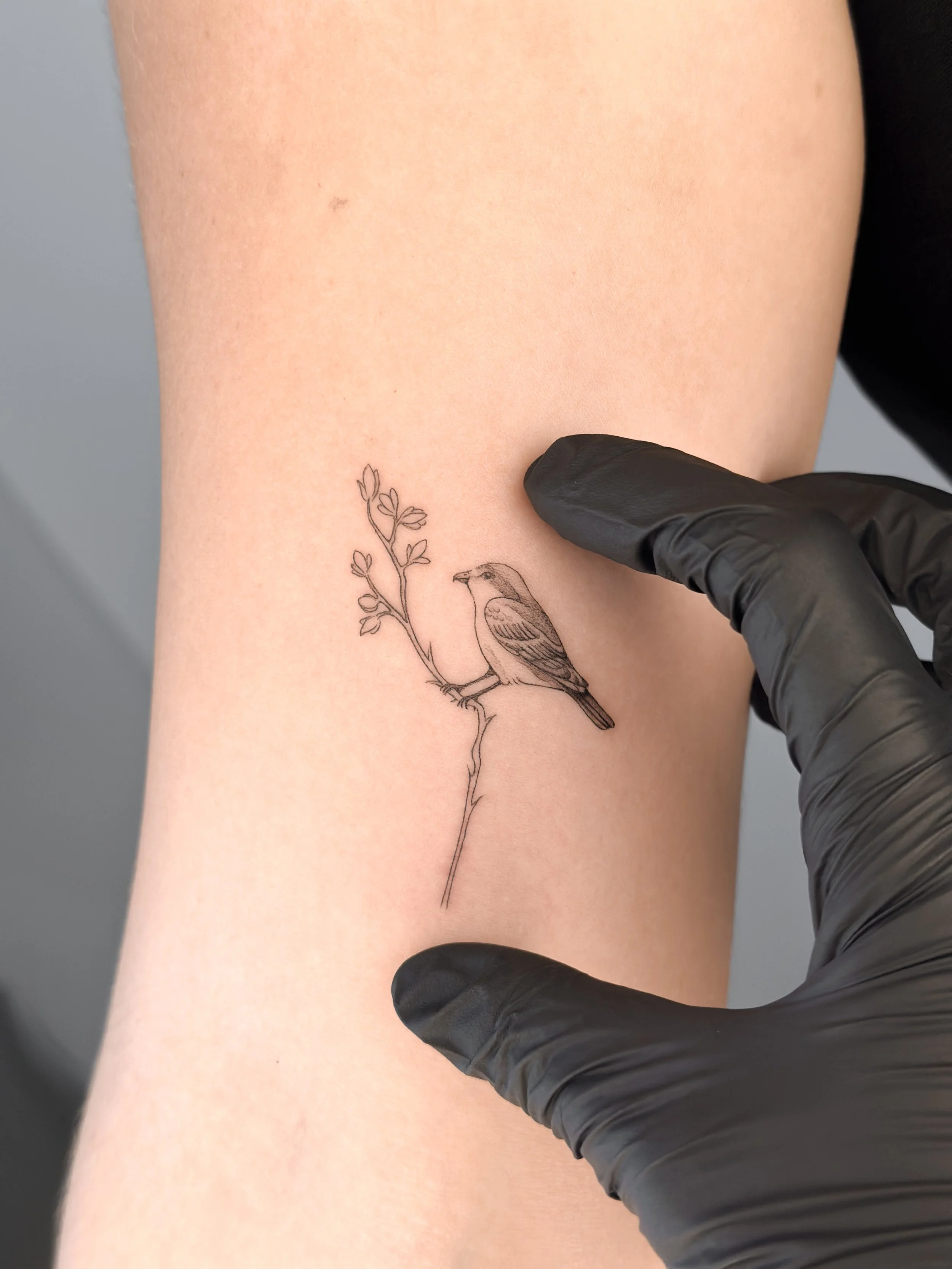 Tatuaje de un pájaro sobre una rama en la piel de una persona.