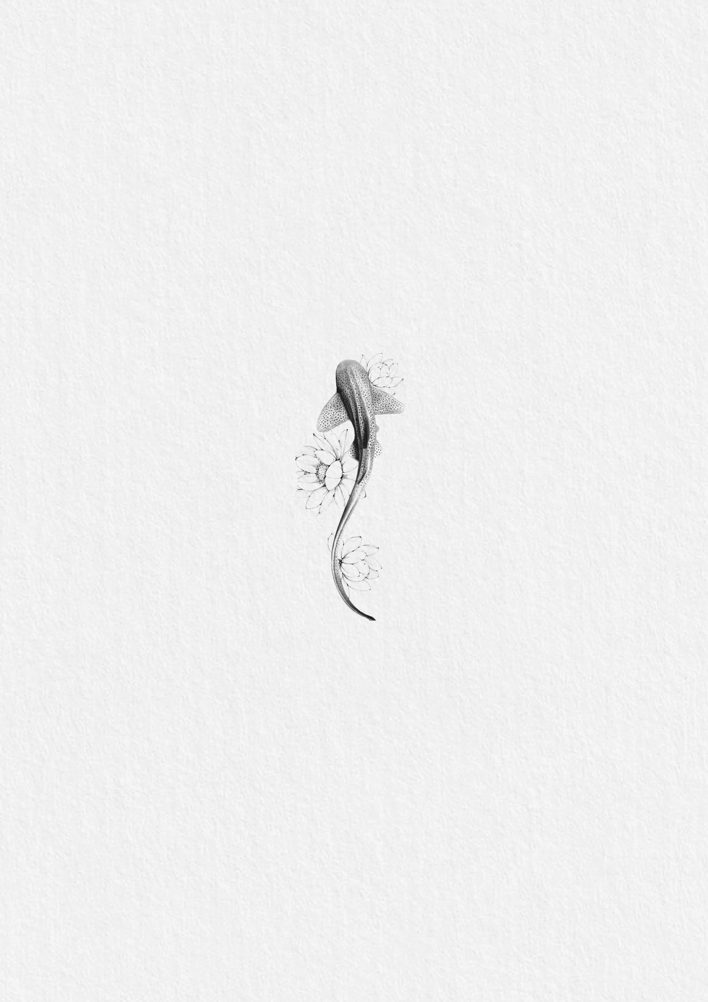 Dibujo en tinta de una planta con flor y de un animal con cuerpo largo y cabeza grande, similar a una lagartija o un reptil, sobre un fondo blanco.