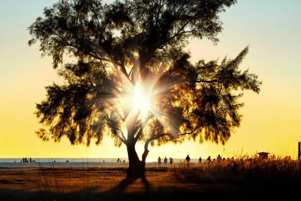 Reprendre confiance en la vie pas à pas