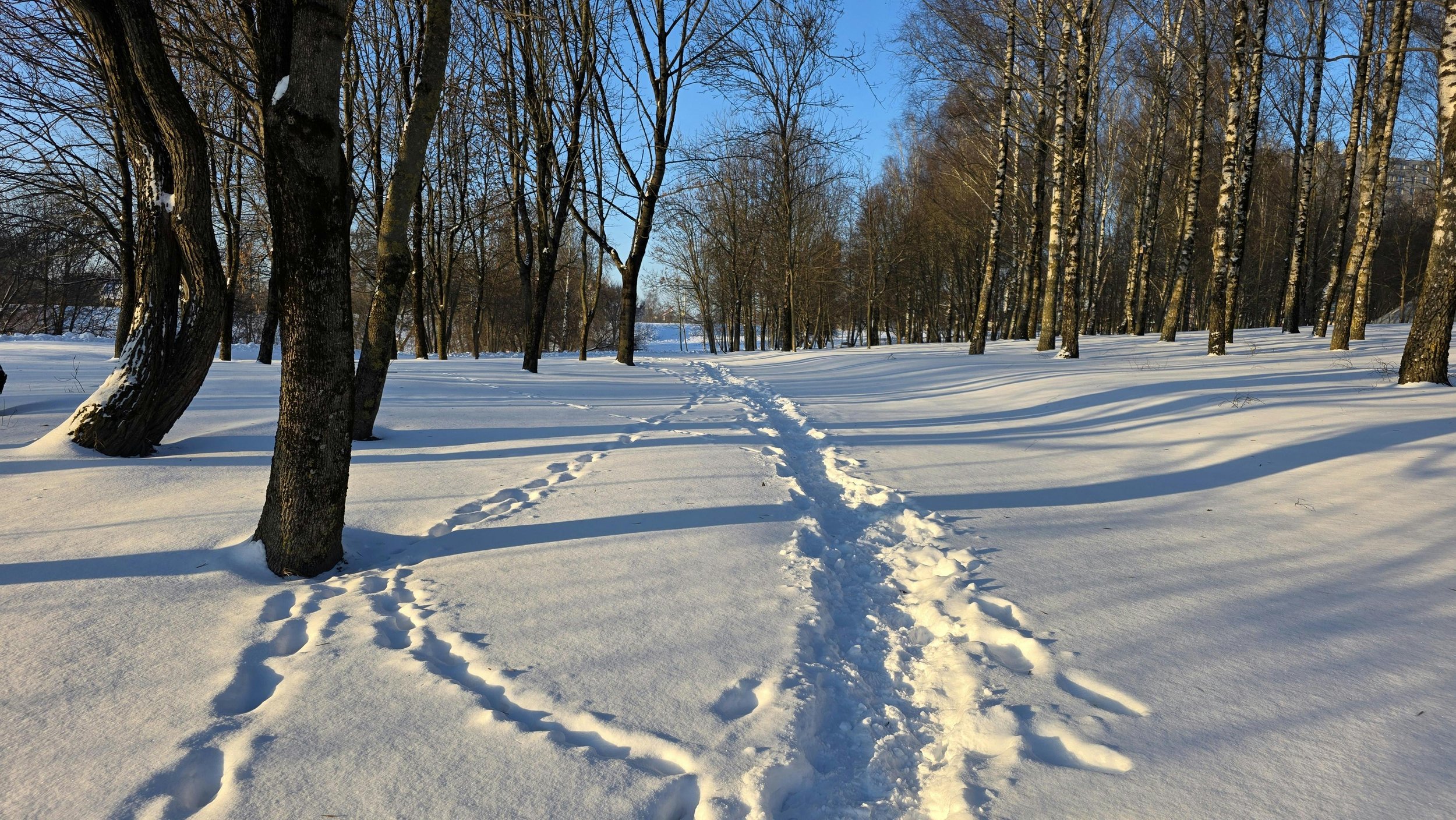 Commencer l'année alignée pas parfaite
