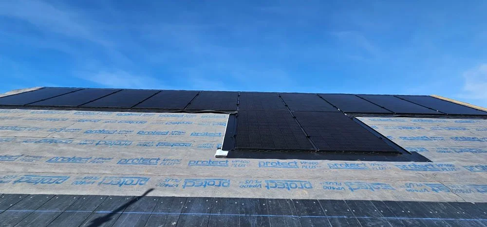 Phono Solar Panels