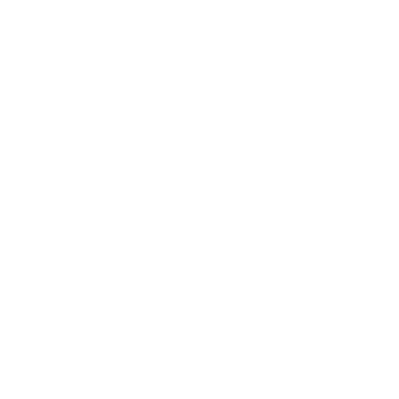Icon of a lightning bolt inside a circle, with rays emanating from the circle, representing electrical energy or power.
