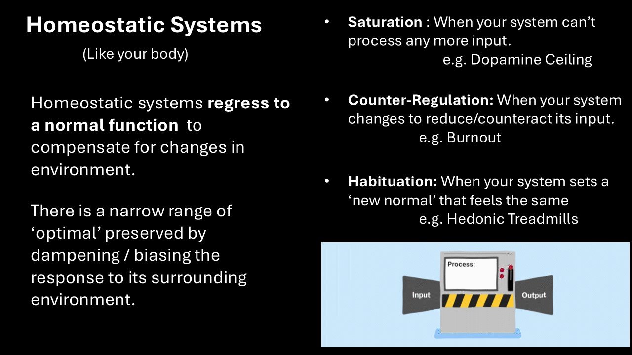 Slide19.JPG