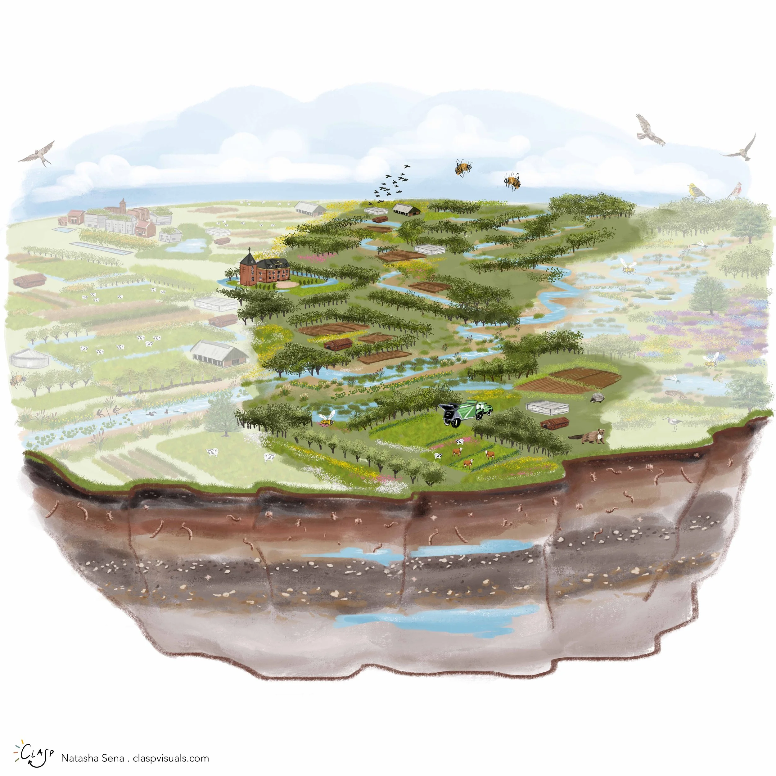 Visual voor Natuurmonumenten_Clasp Visuals_Natasha Sena