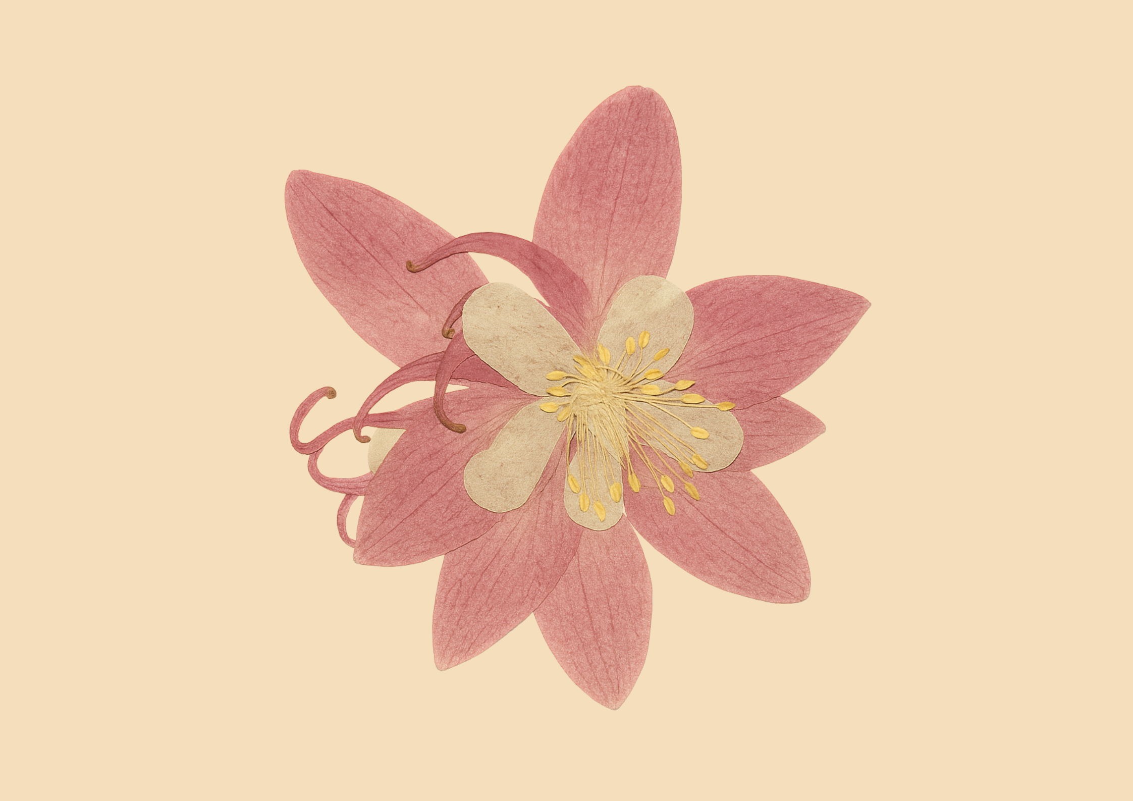 A digital illustration of a pink and yellow flower against a beige background.