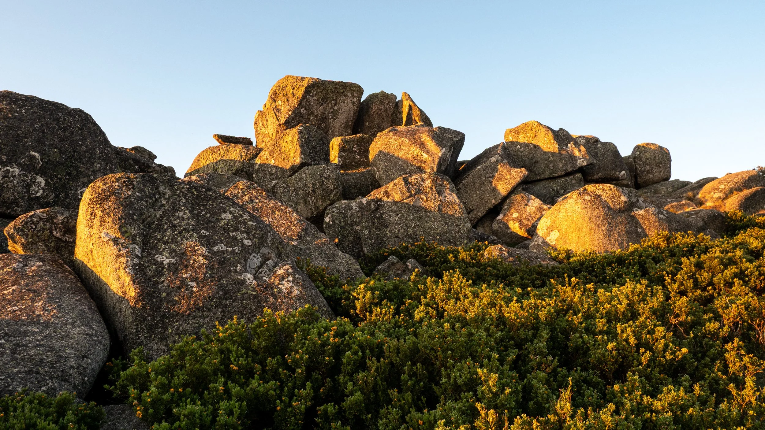 The Cathedral20191226-OMD60231.jpg