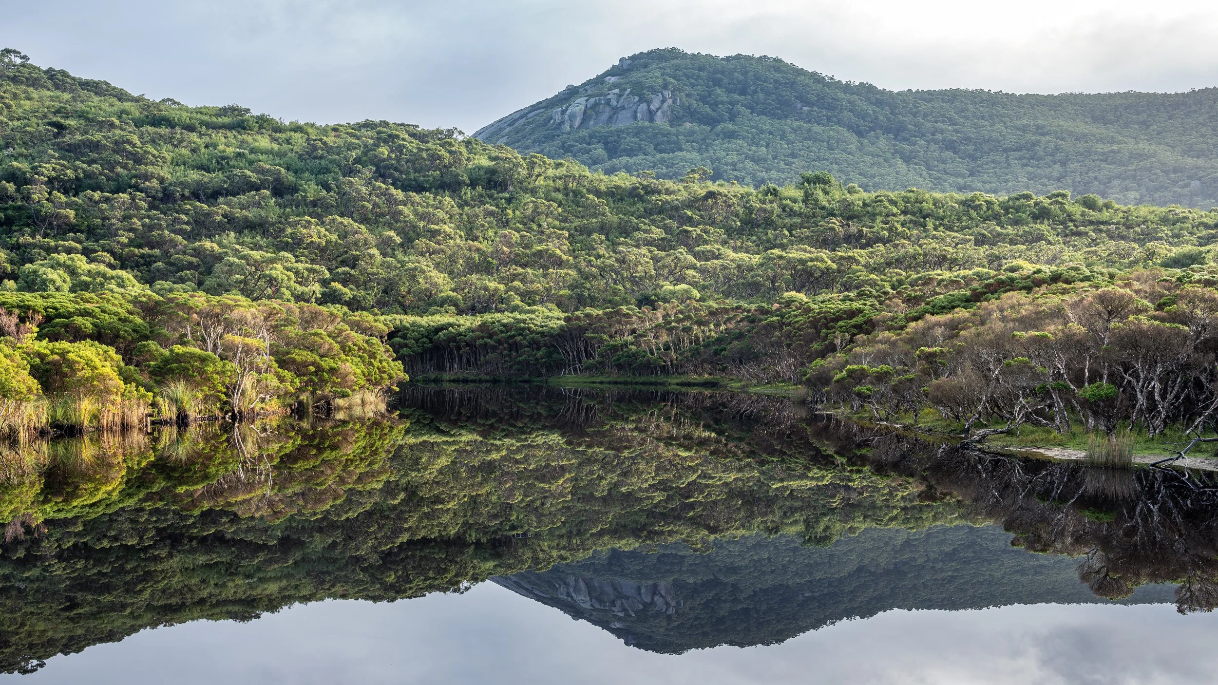 A peaceful landscape with a calm lake reflecting green trees and a mountain in the background.