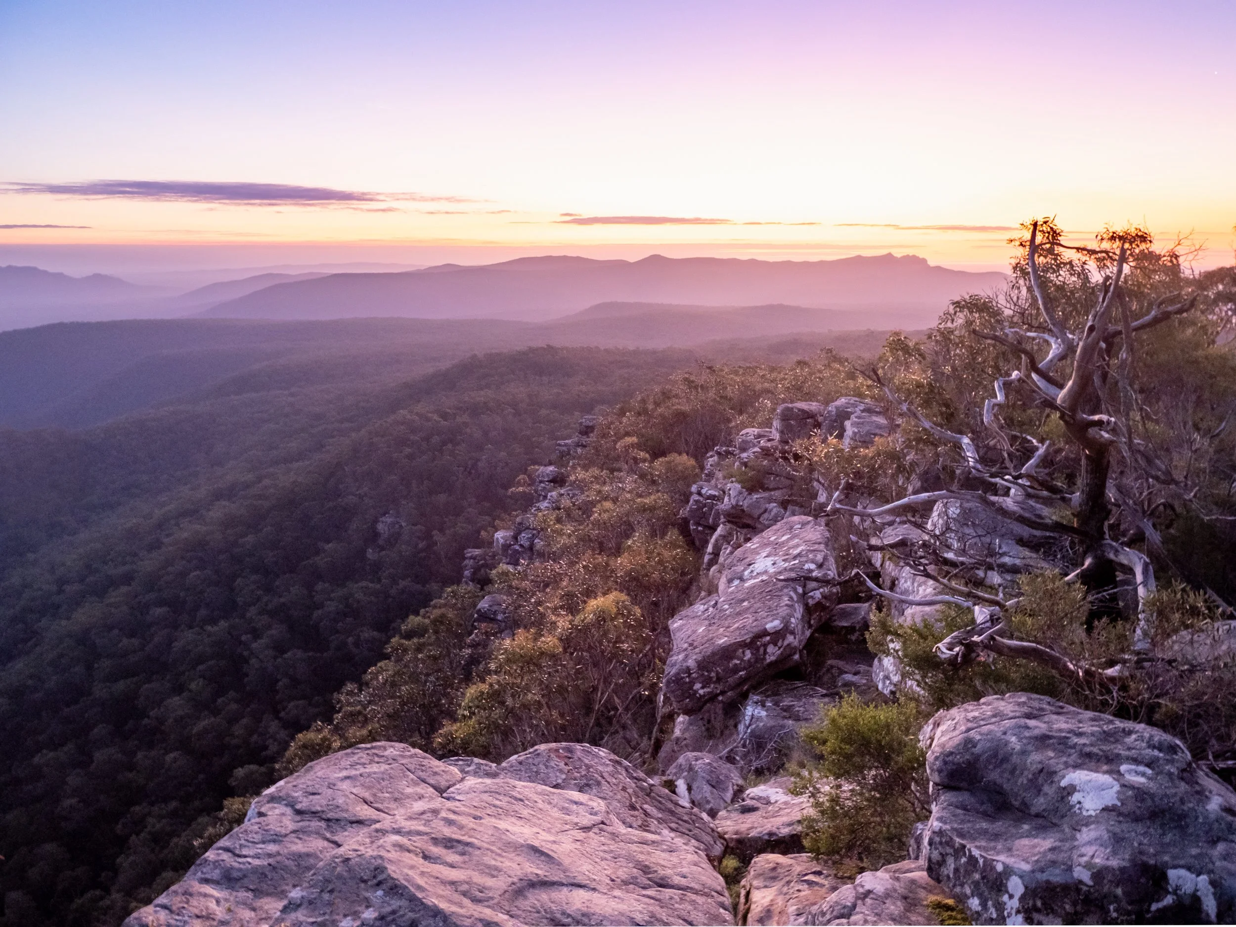 Sunset over mountain range with rocky outcrop and sparse trees in the foreground.